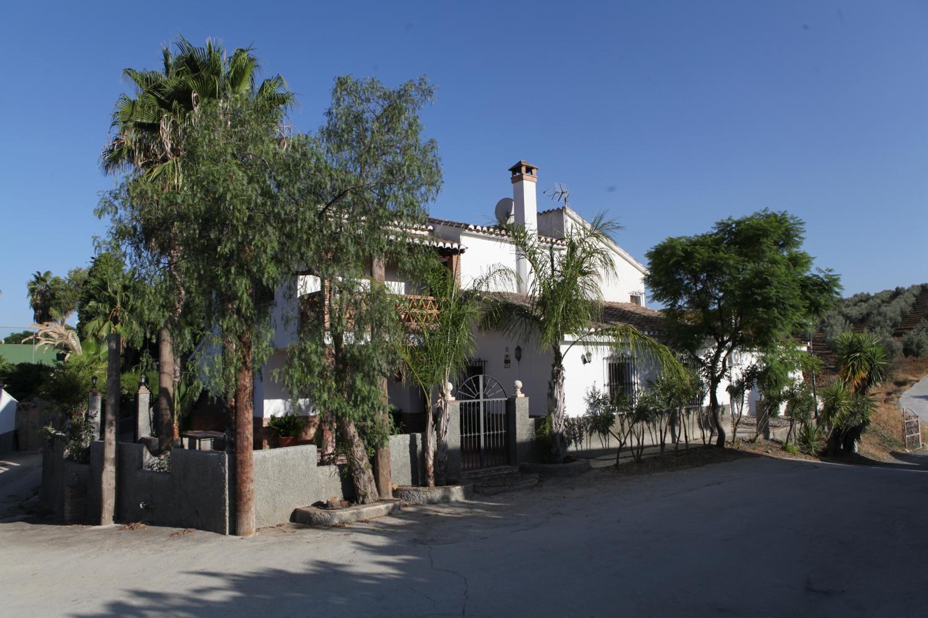 Loma Méndez Casa 1 view 5