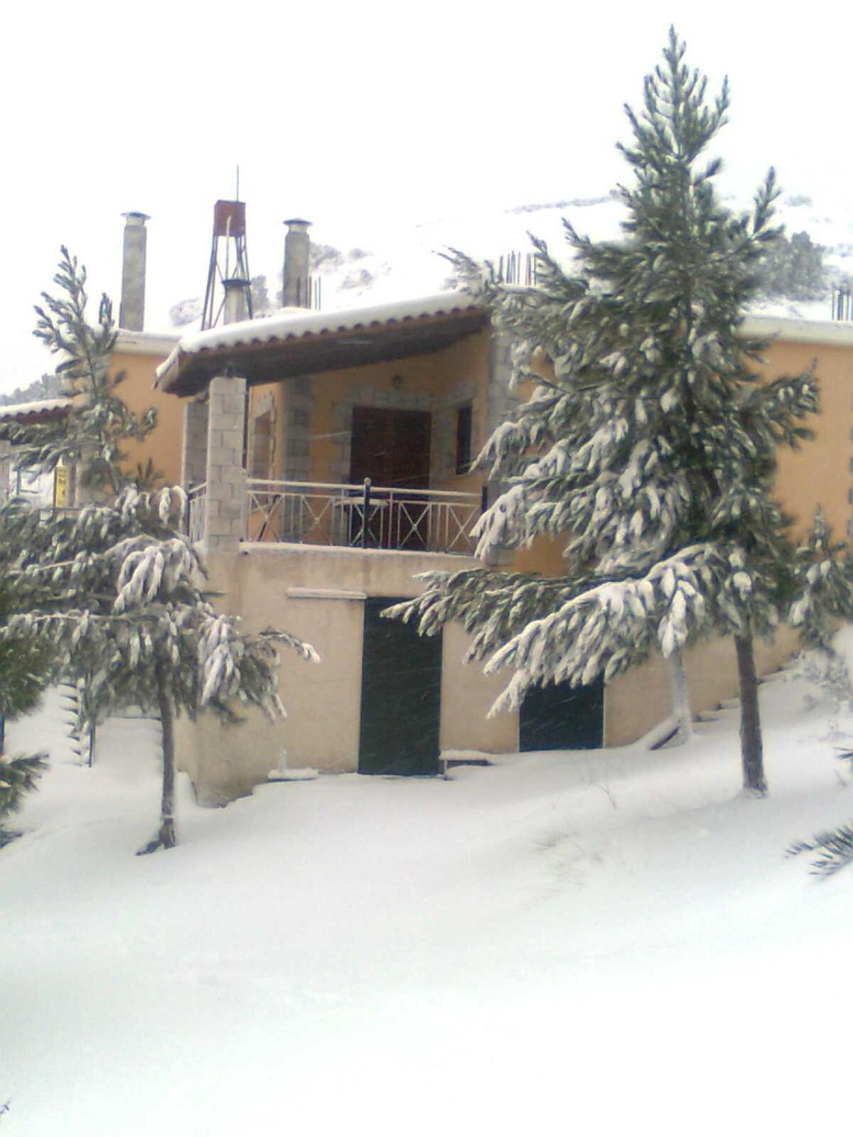Photo 36