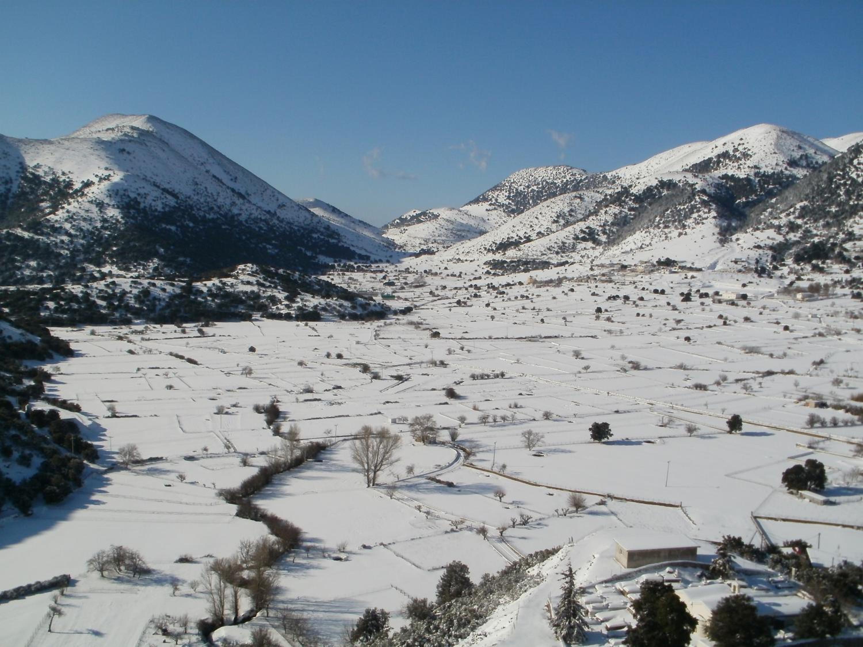 Photo 40