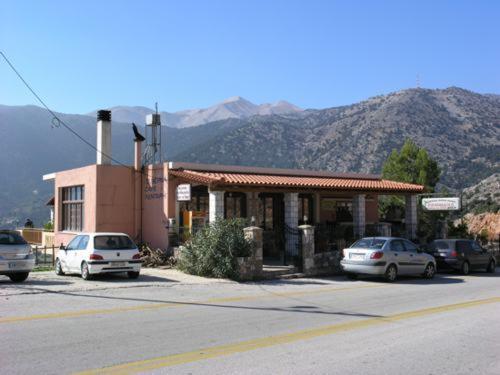 Photo 42