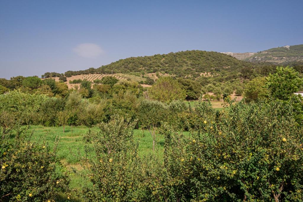 Casa Rural El Níspero