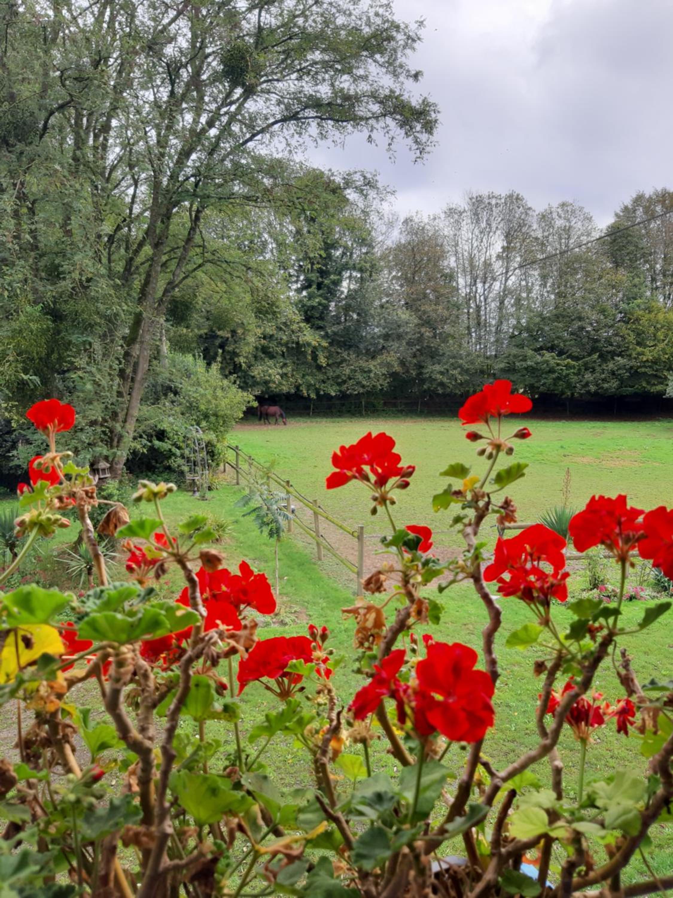 Manoir de la Peignie view 4
