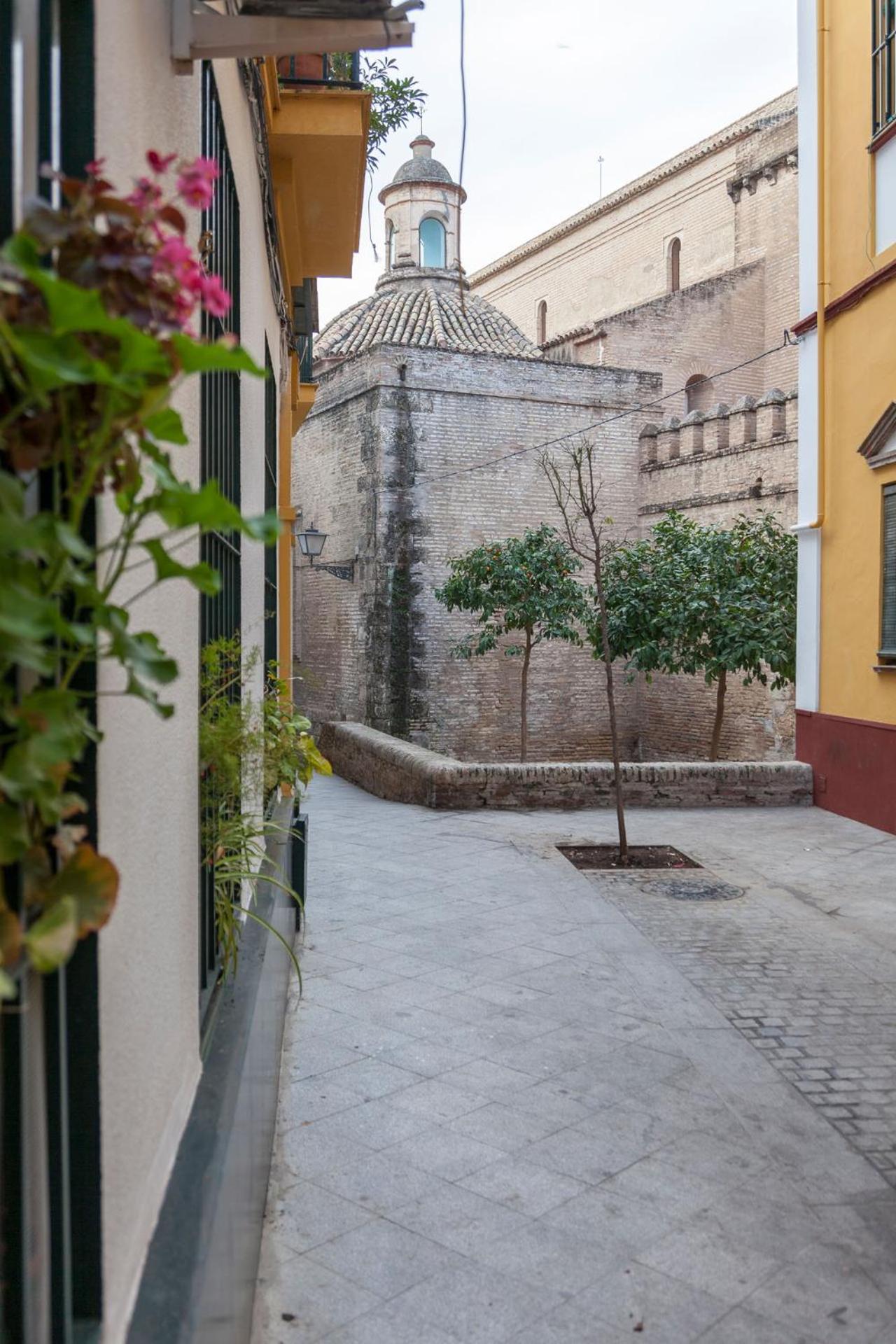 Bordador view 4