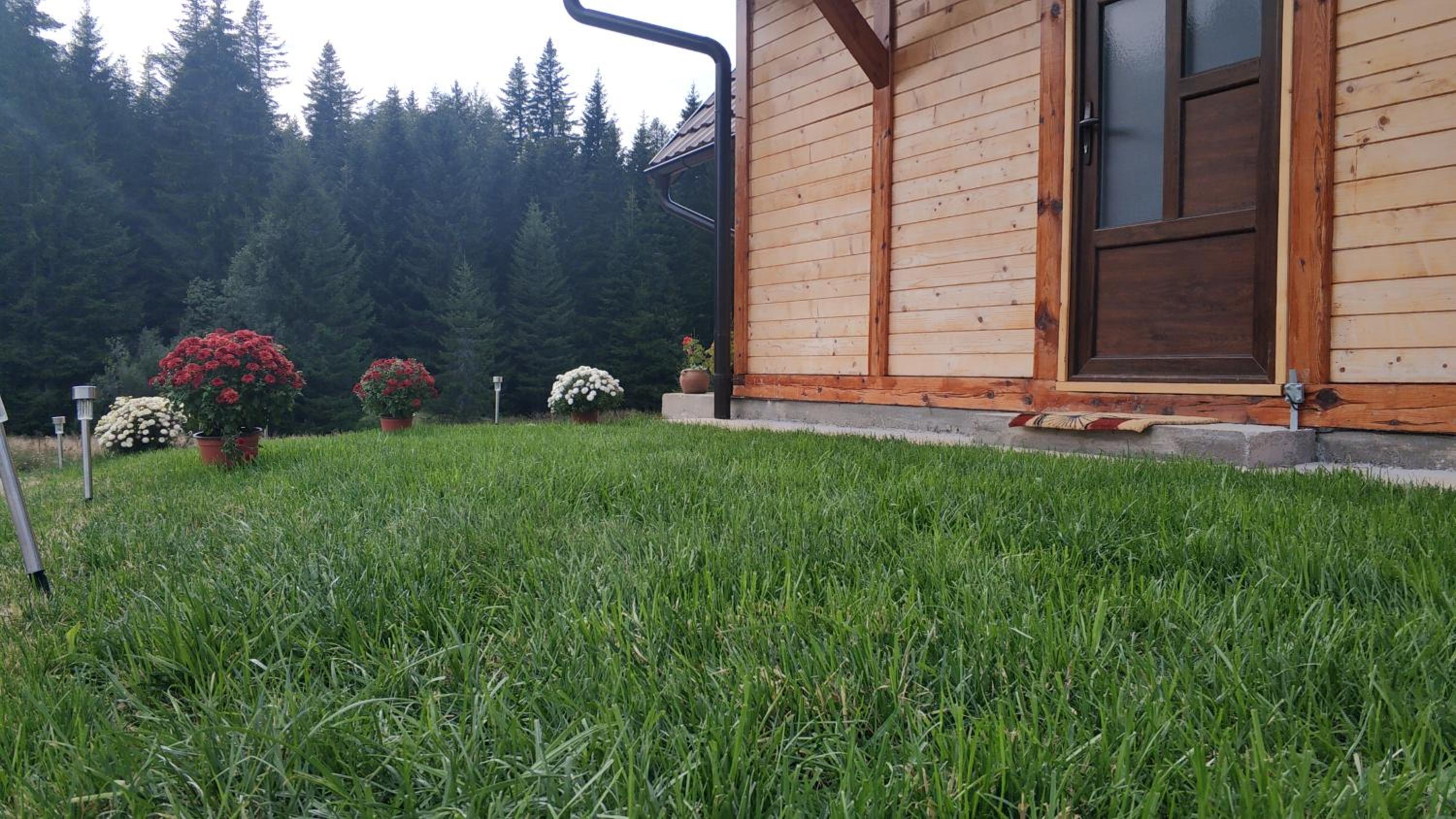 Photo 34
