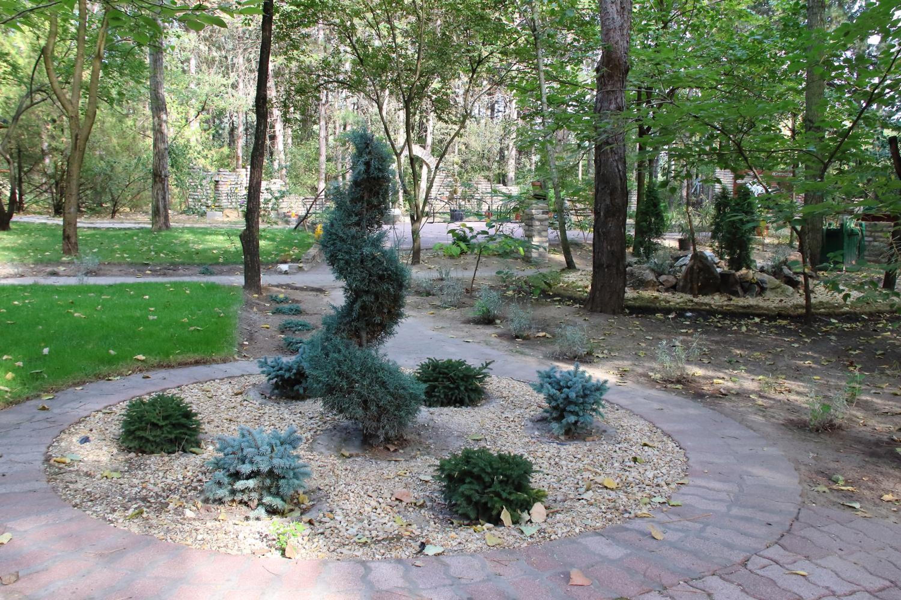 Photo 8