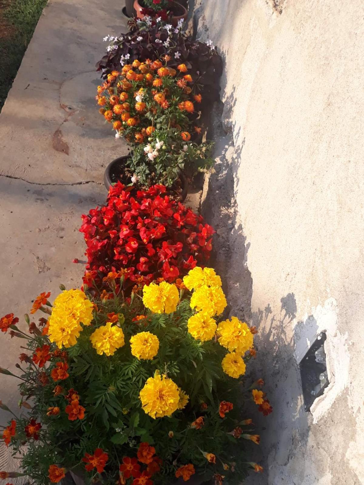 Photo 28