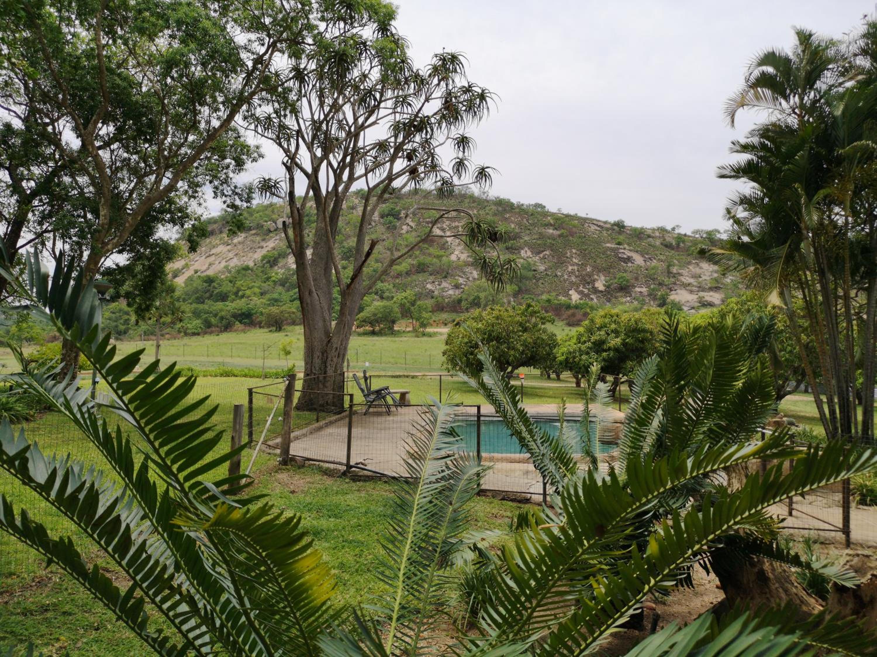 Photo 17