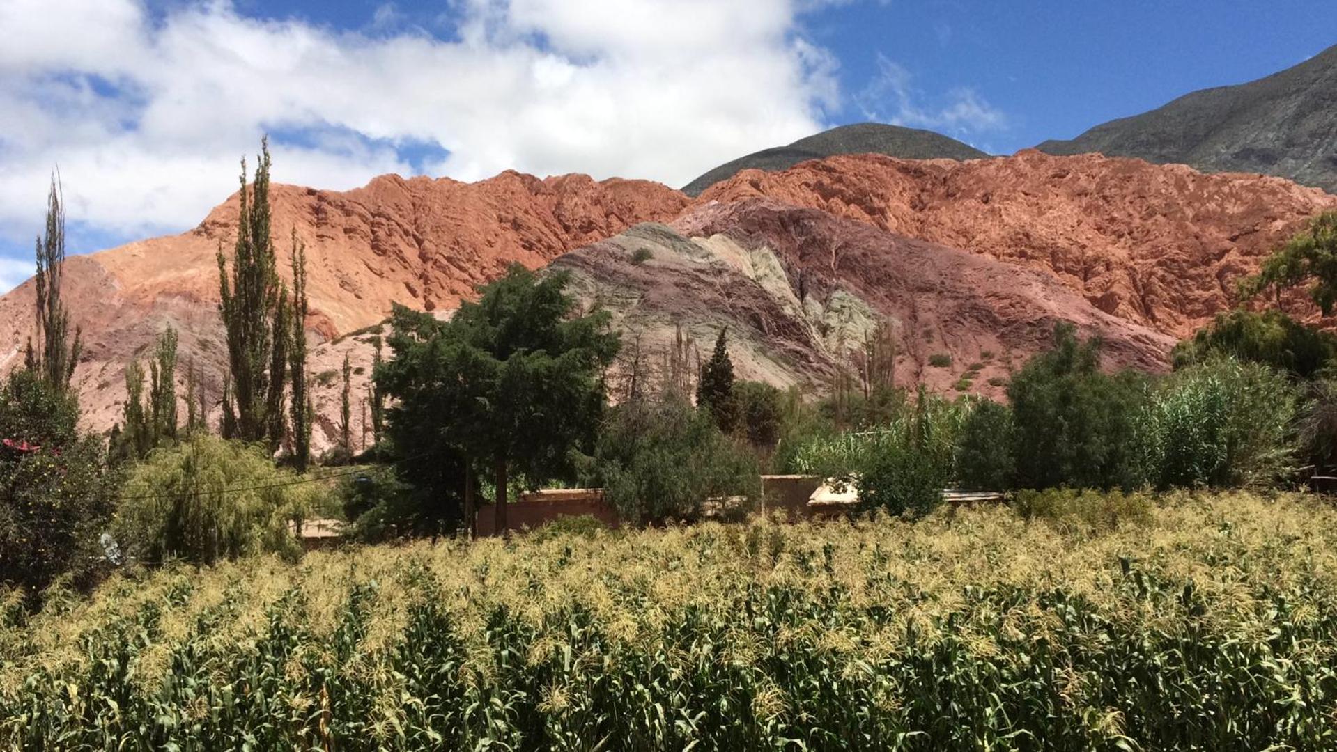 Colores de Purmamarca