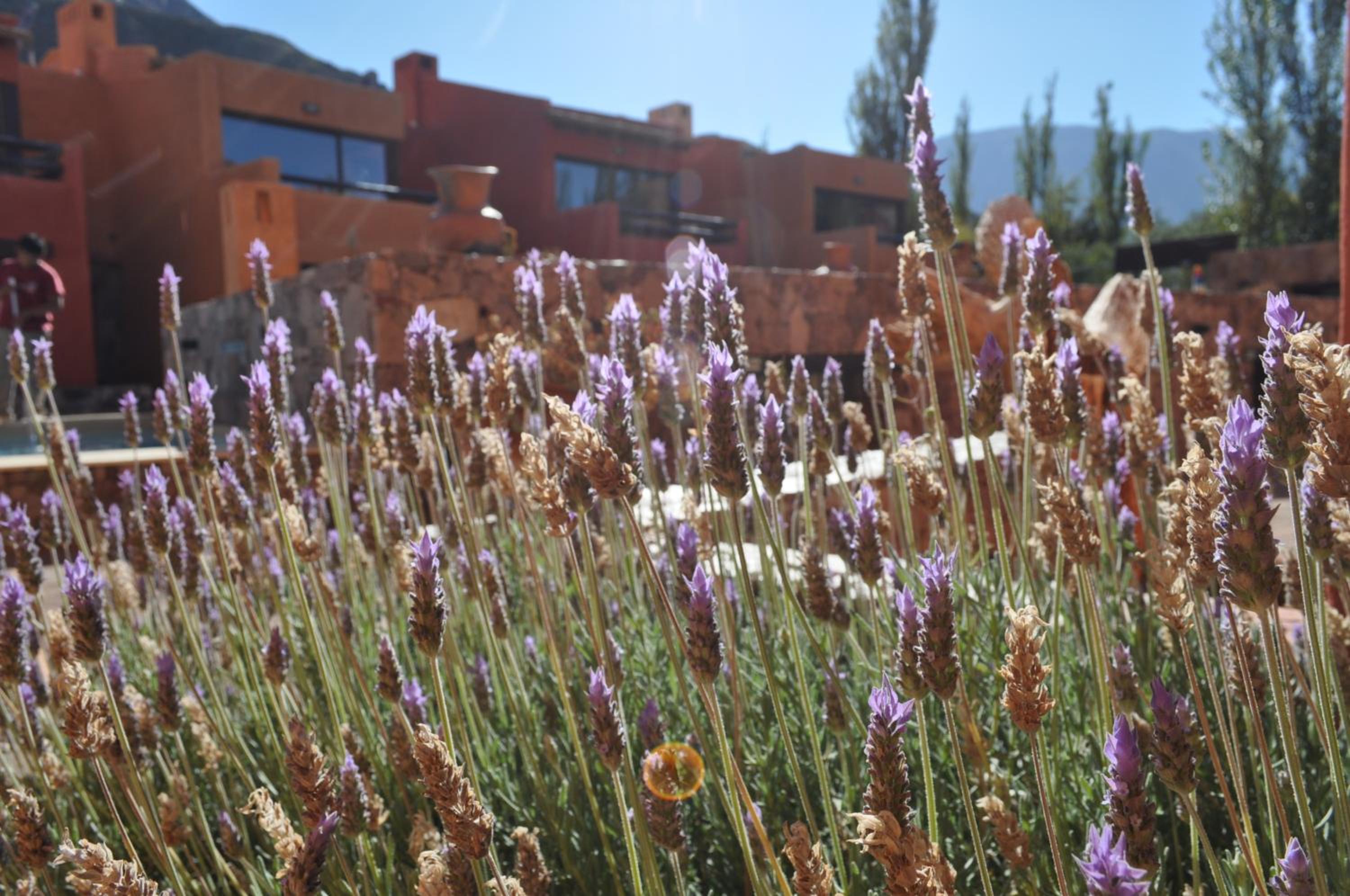 Colores de Purmamarca