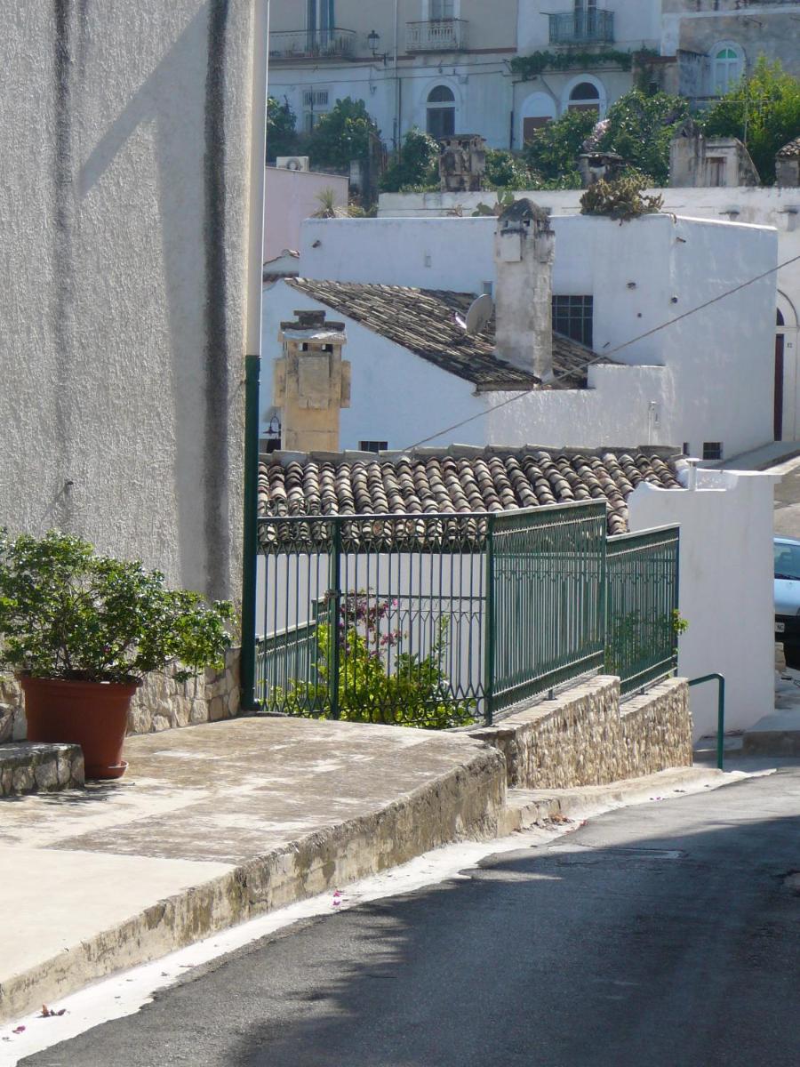 Photo 44