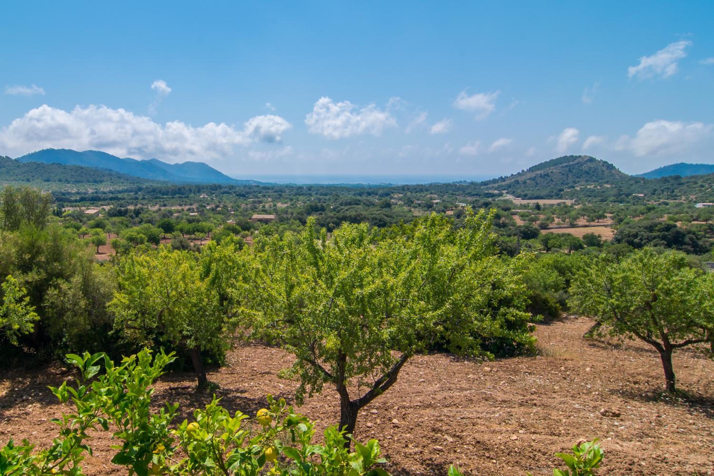 Finca Es Serva