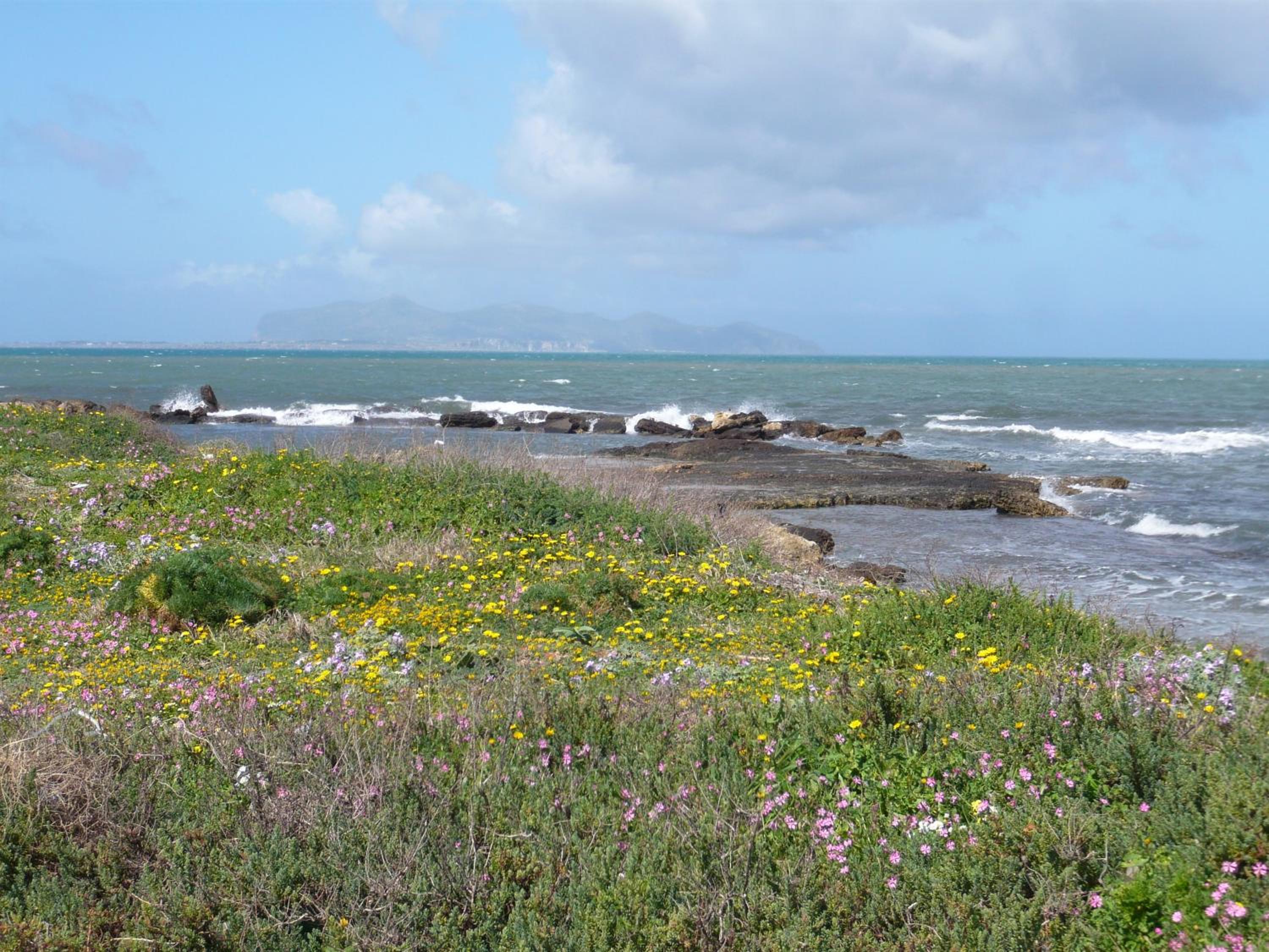 Laguna dei Fenici