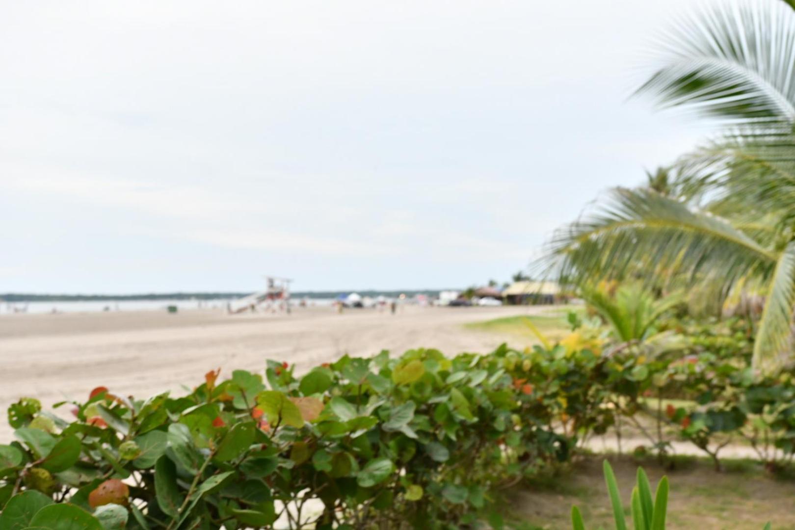 Hermoso apartamento con todas las comodidades acceso directo a la playa ubicado en el edificio Morros Epic