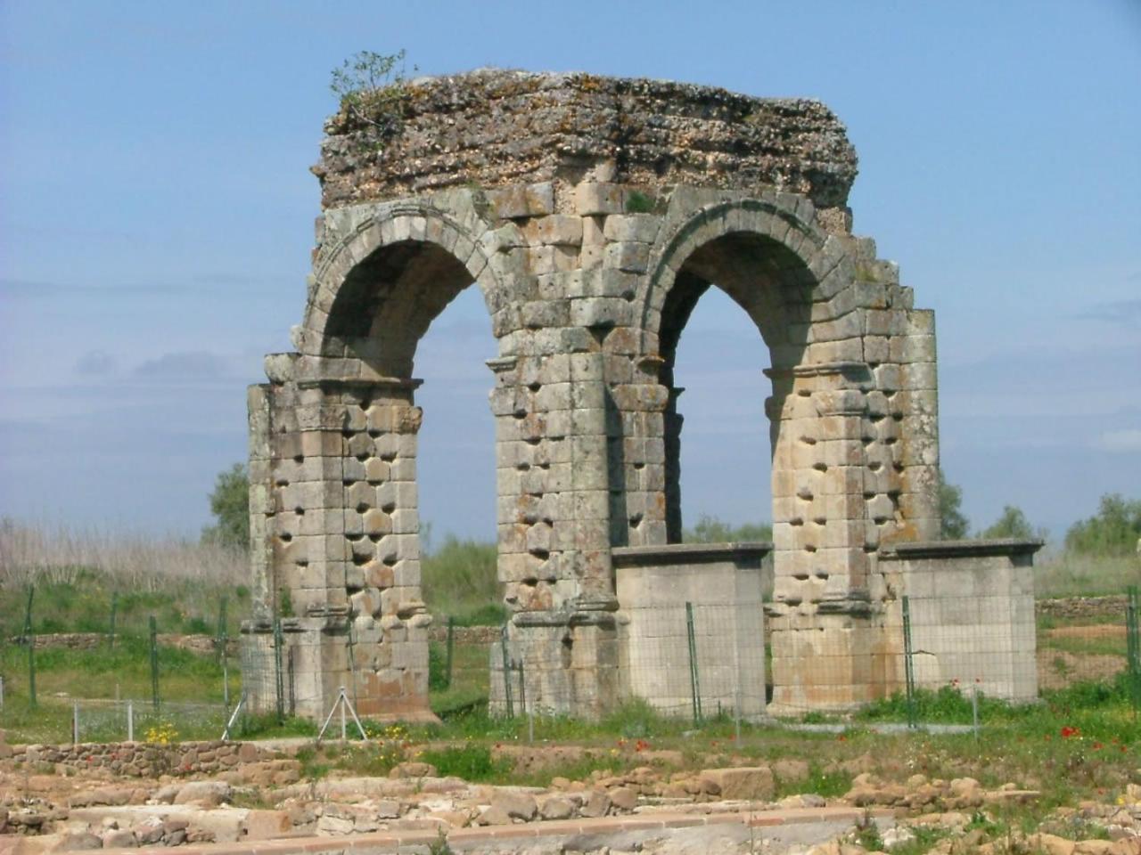 Photo 19