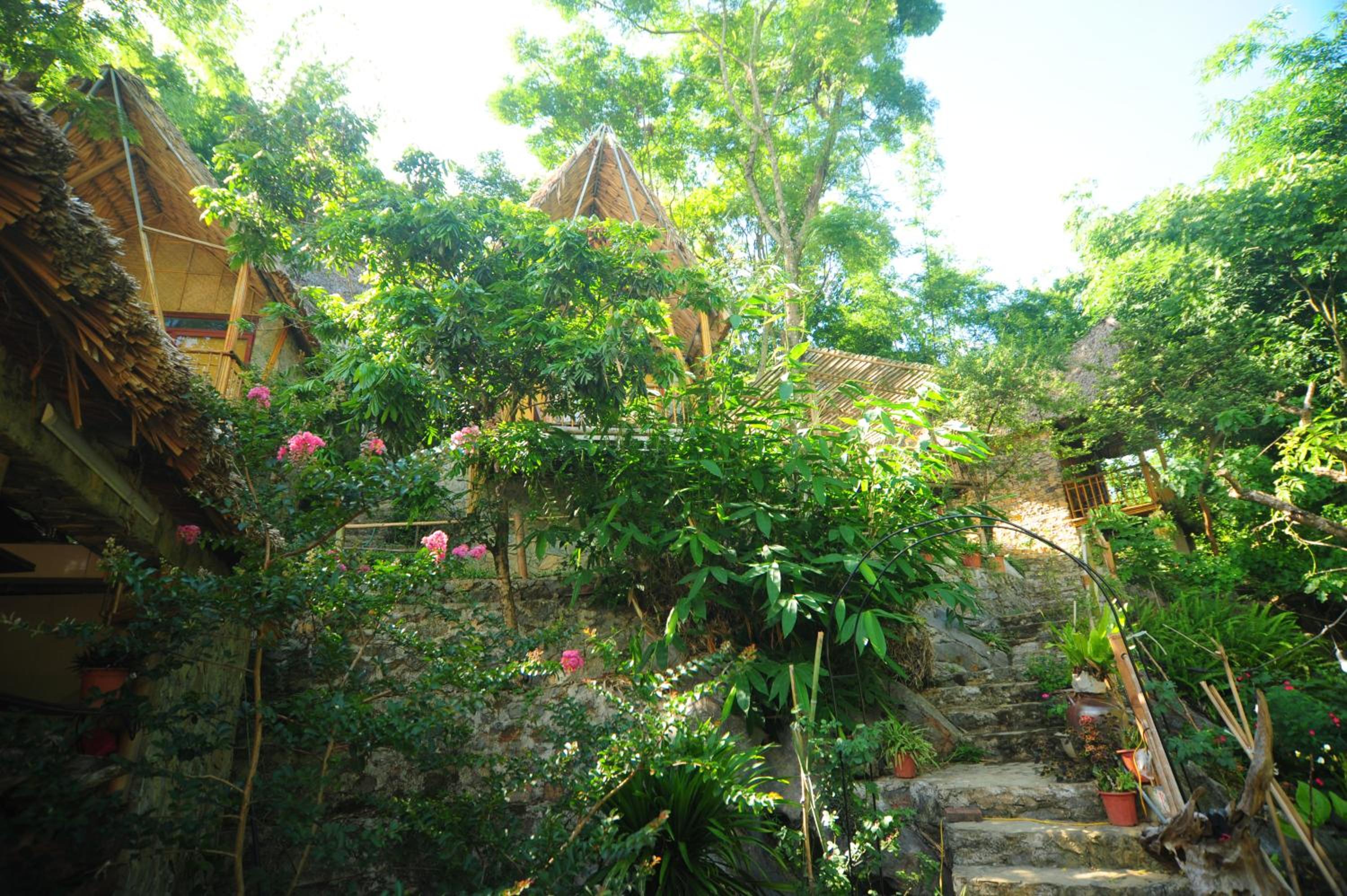 Photo 48