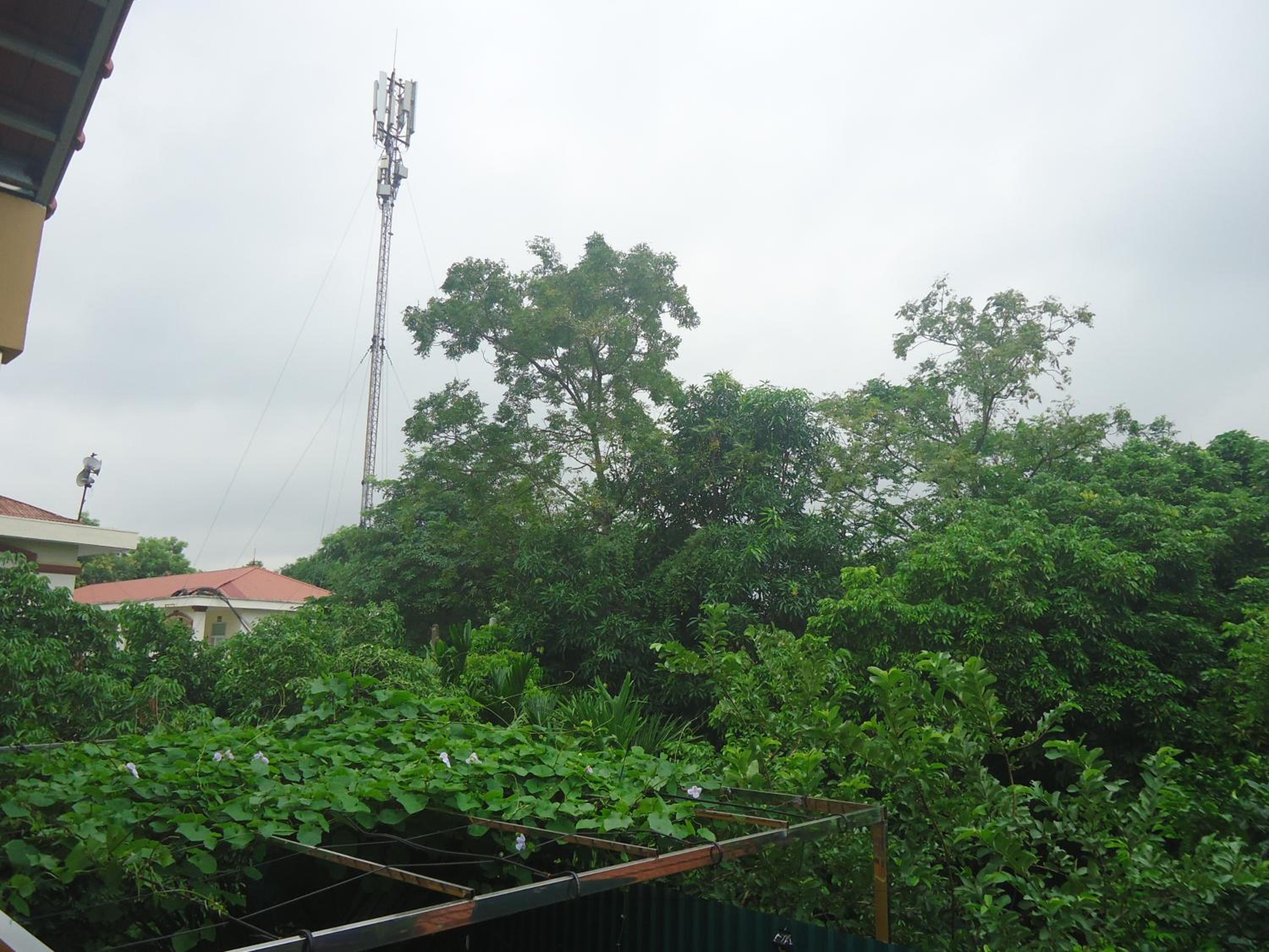 Photo 42