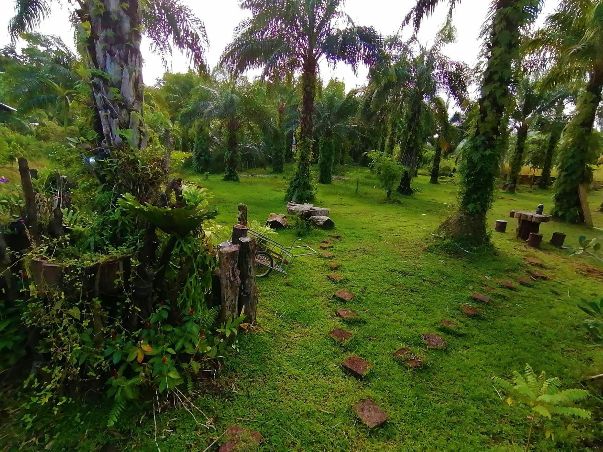 Koom Kachanaan view 2