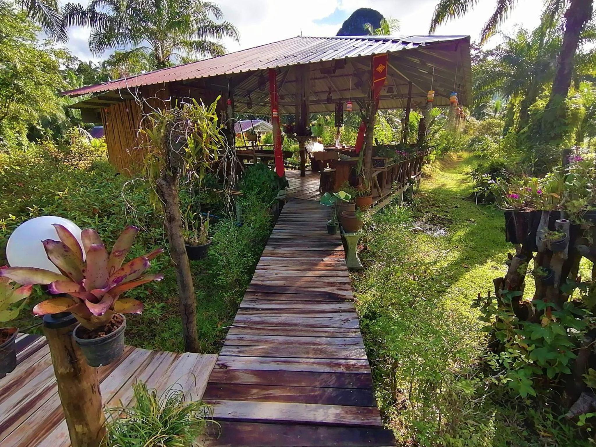Koom Kachanaan view 3