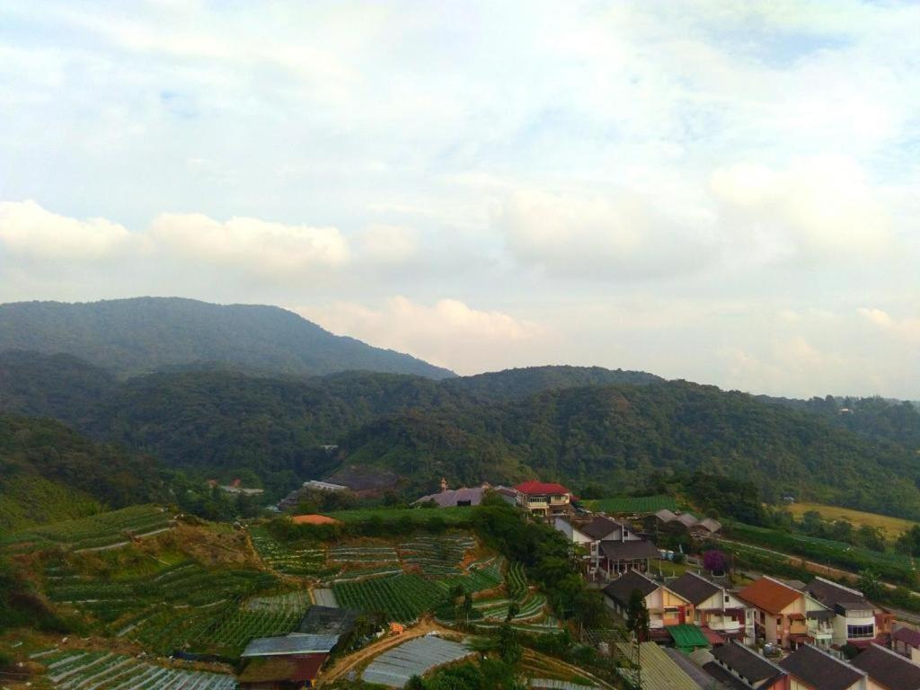 Photo 7