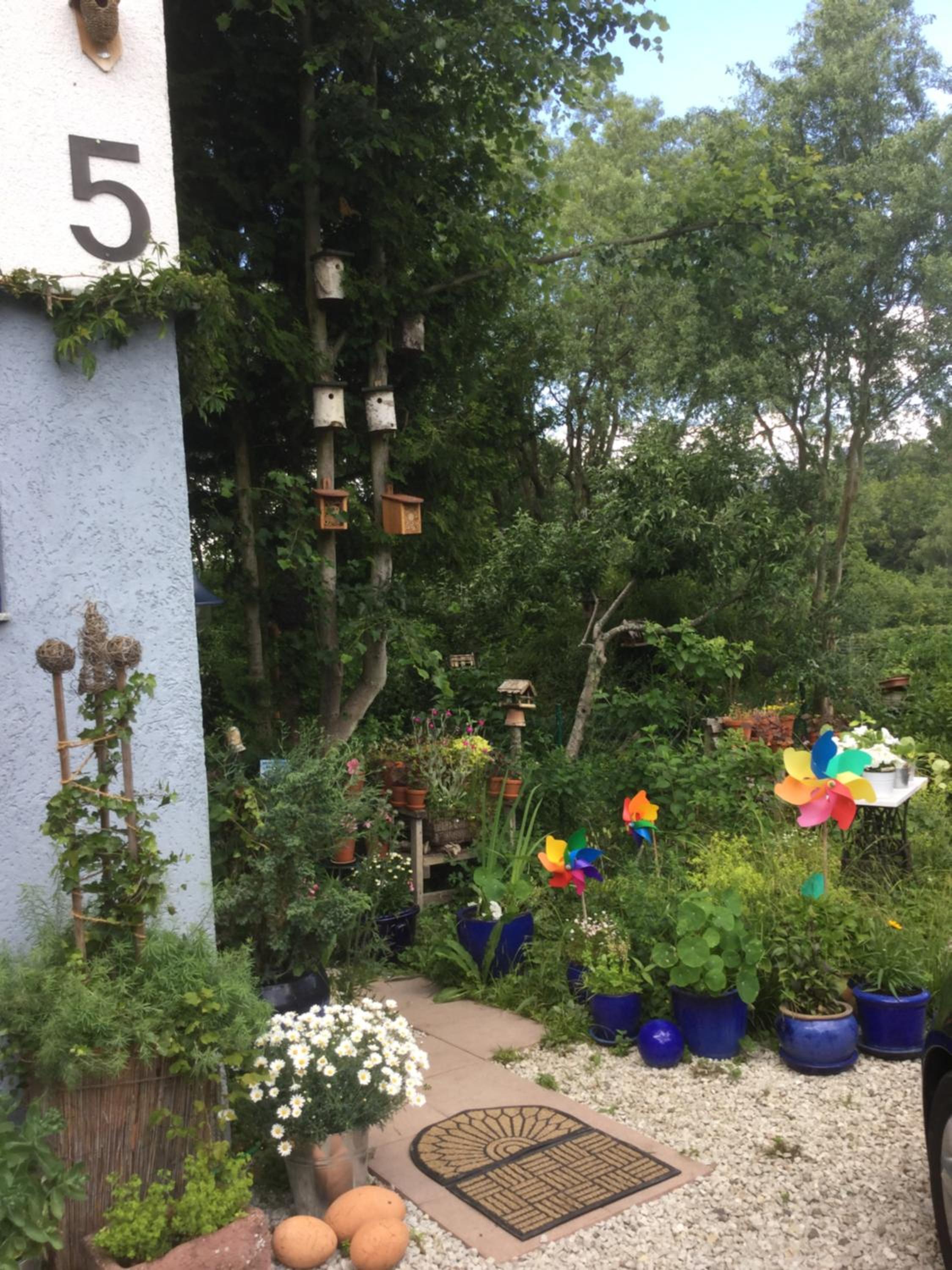 Photo 19