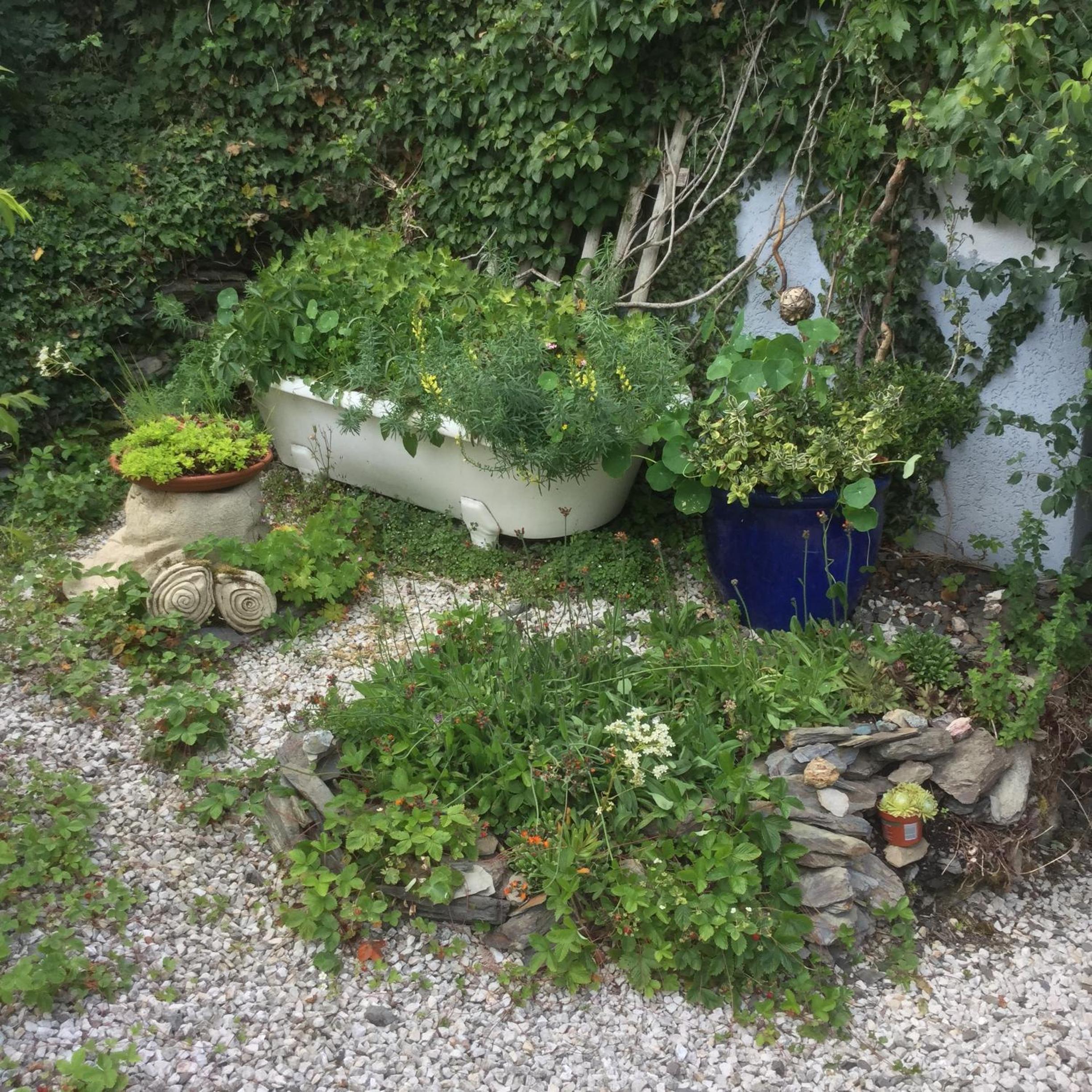 Photo 18