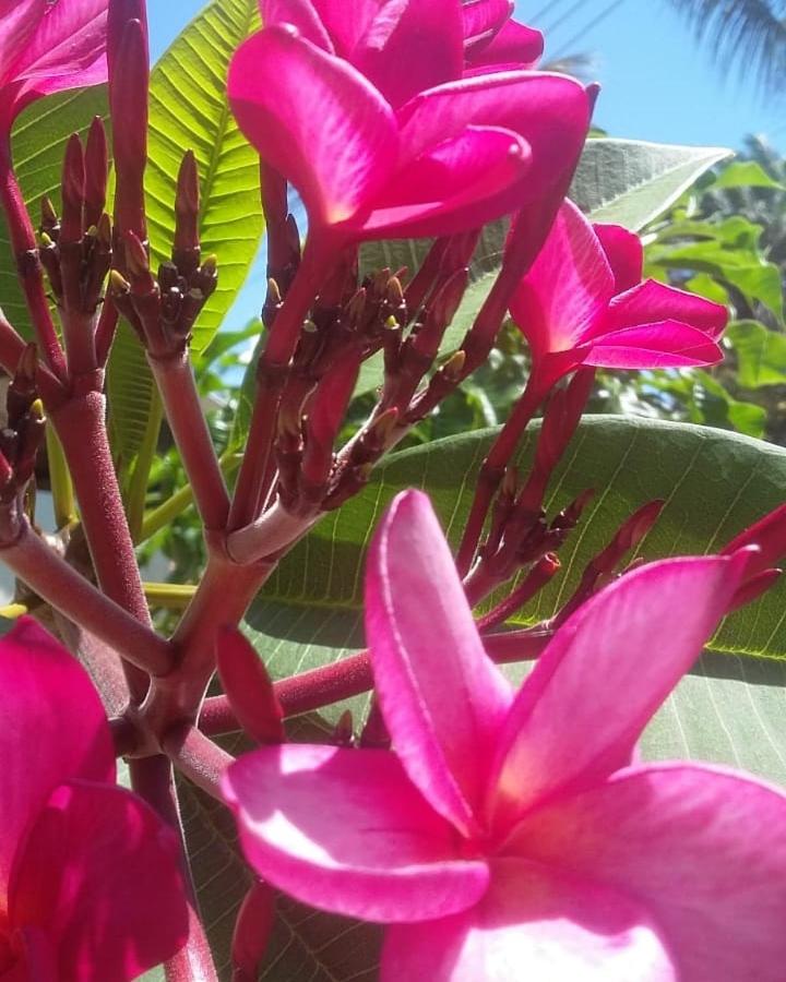 Photo 44