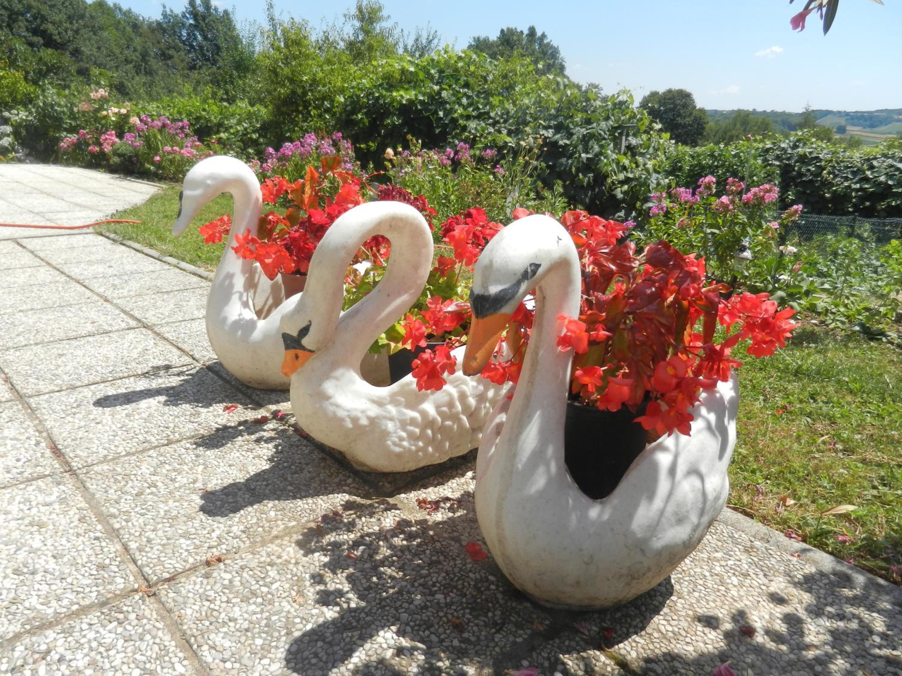 Photo 48