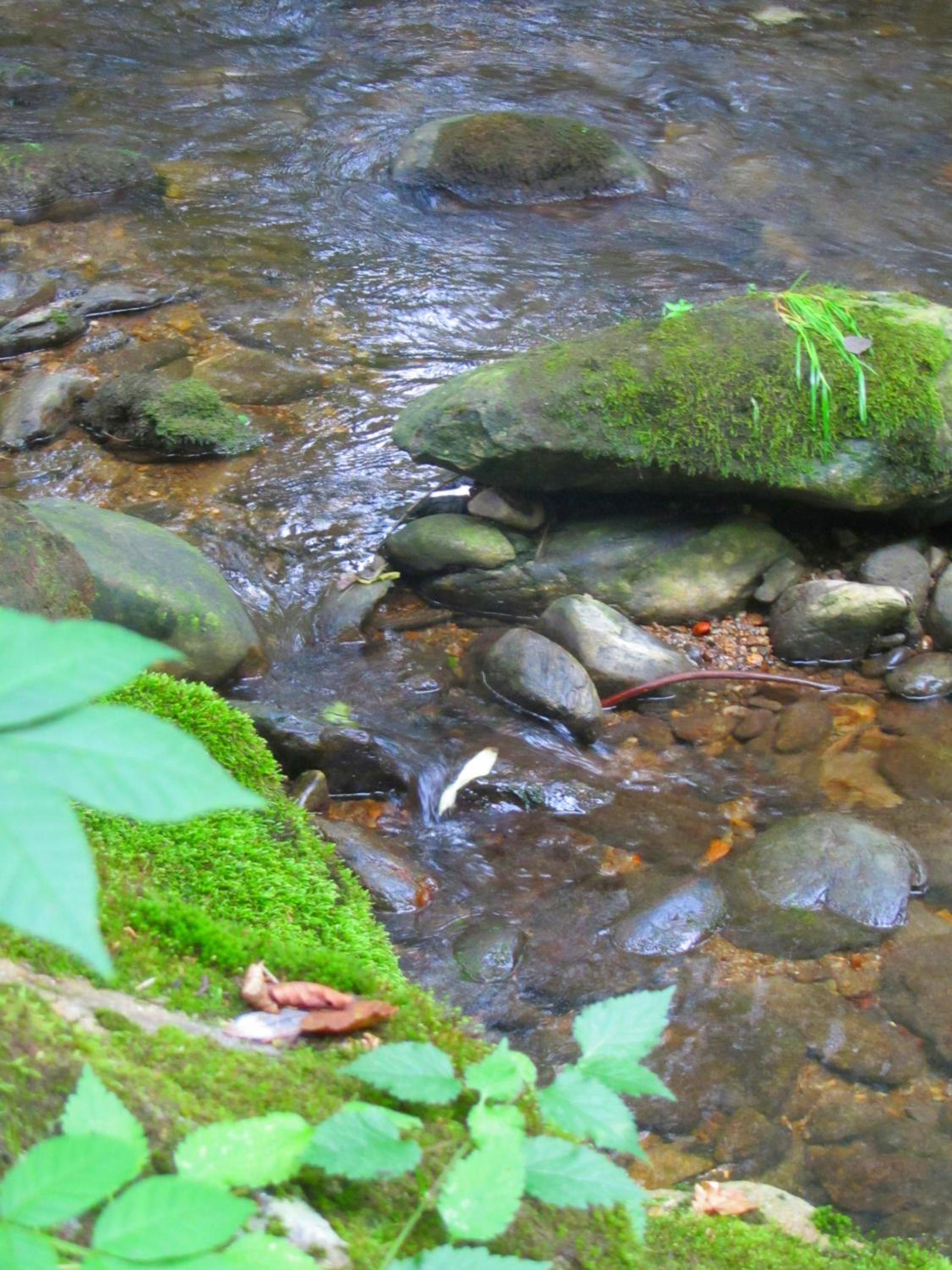 Photo 40