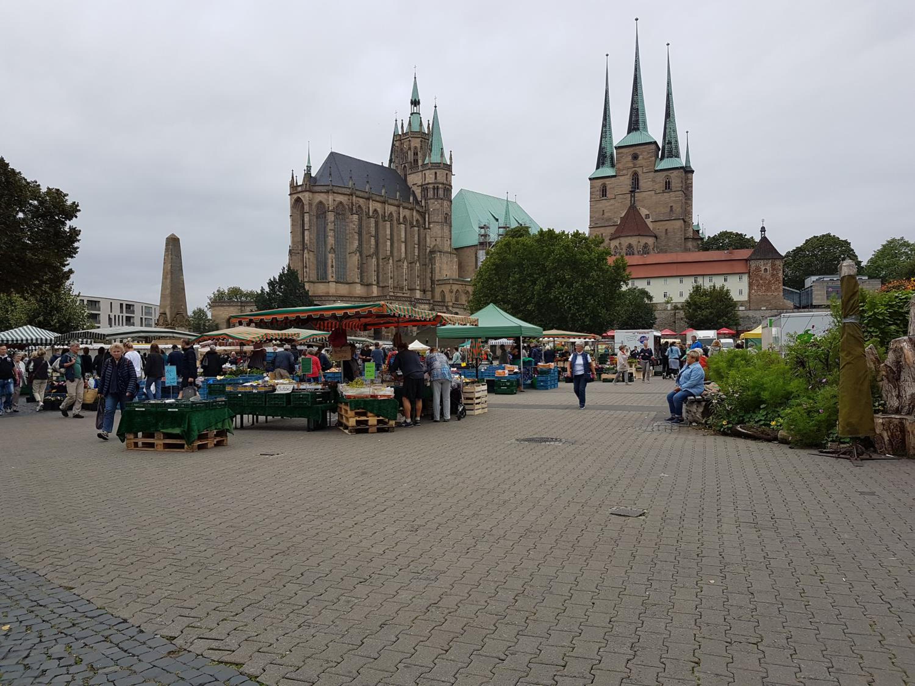 Photo 42