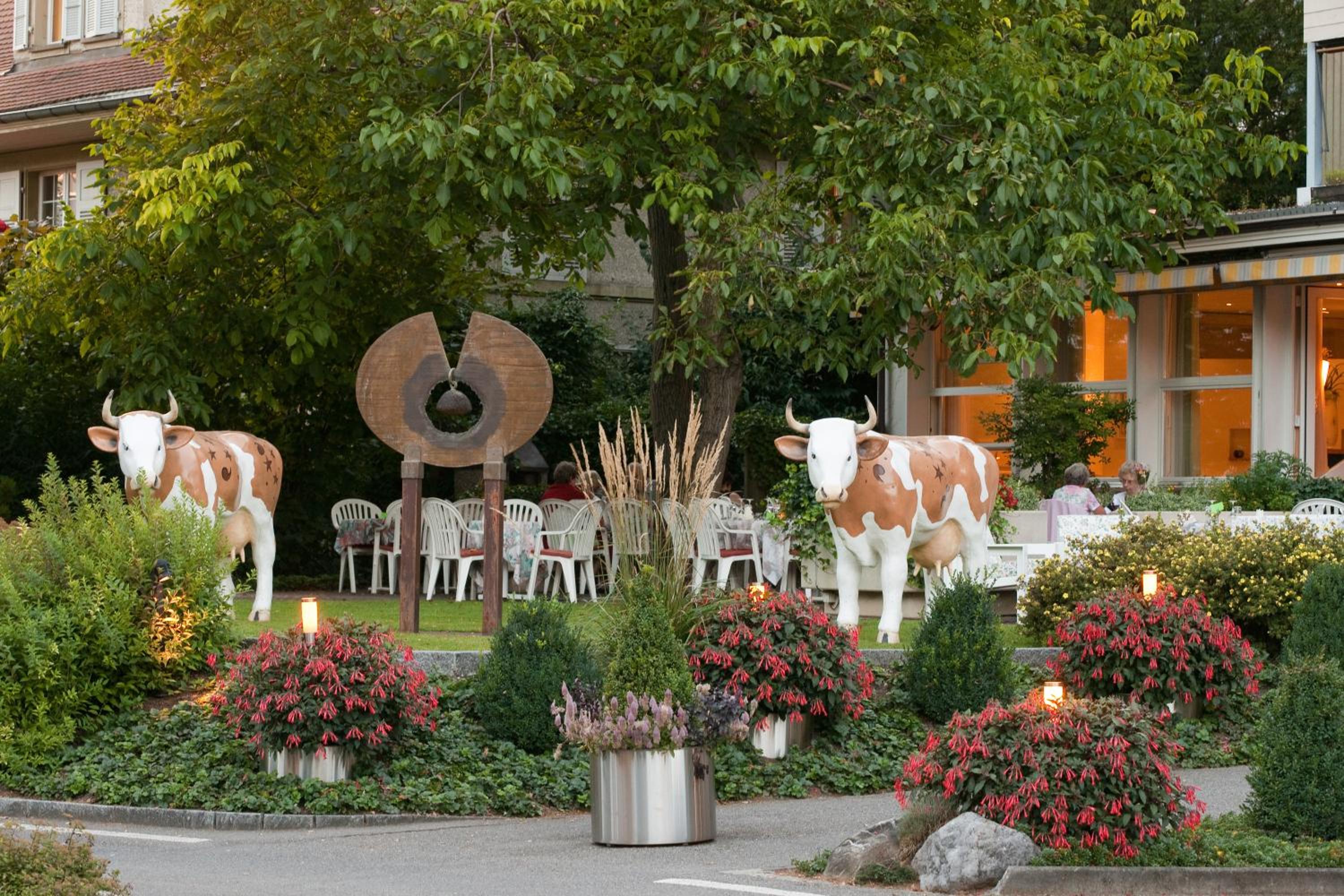 Interlaken Vacations - Stella Swiss Quality Hotel - Property Image 6