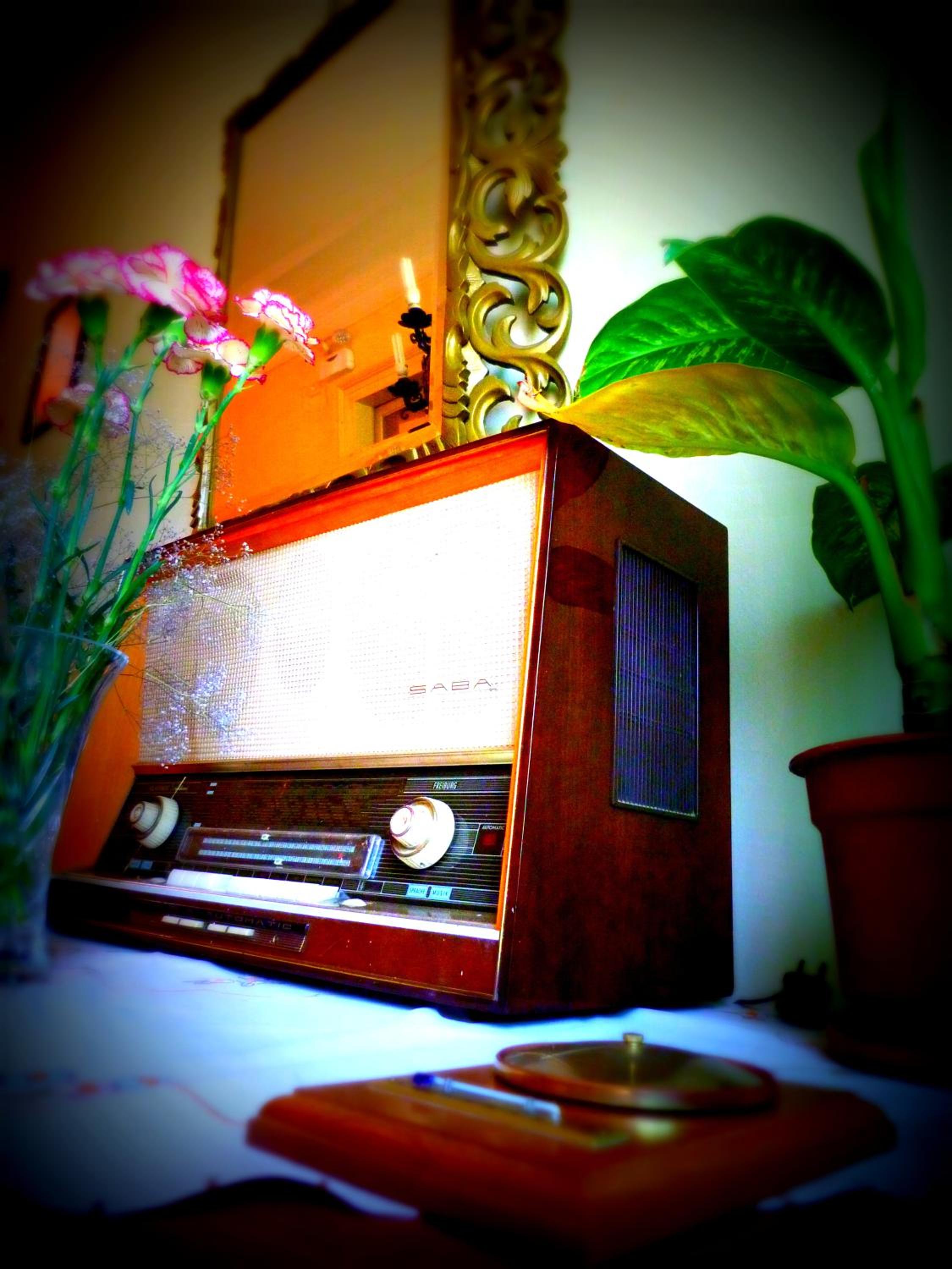 Blanca Rosa Valparaiso B&B