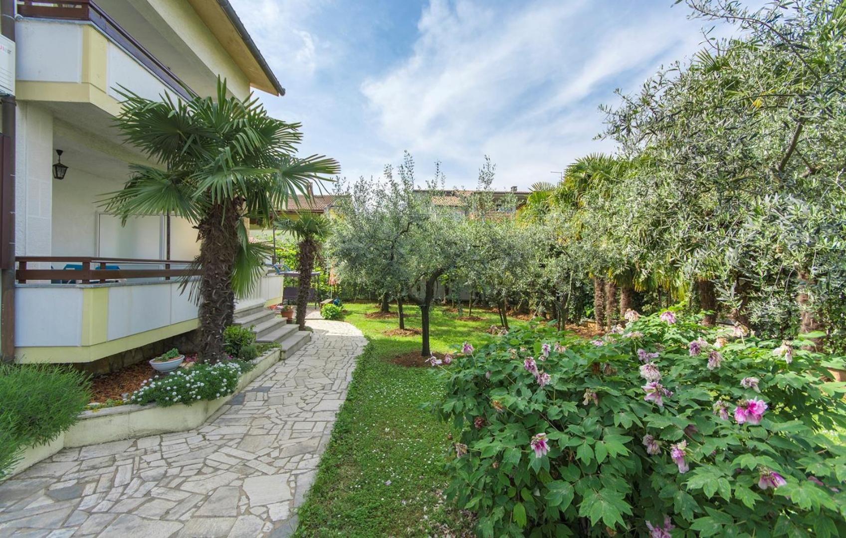 Apartments Emili - Property Image 34