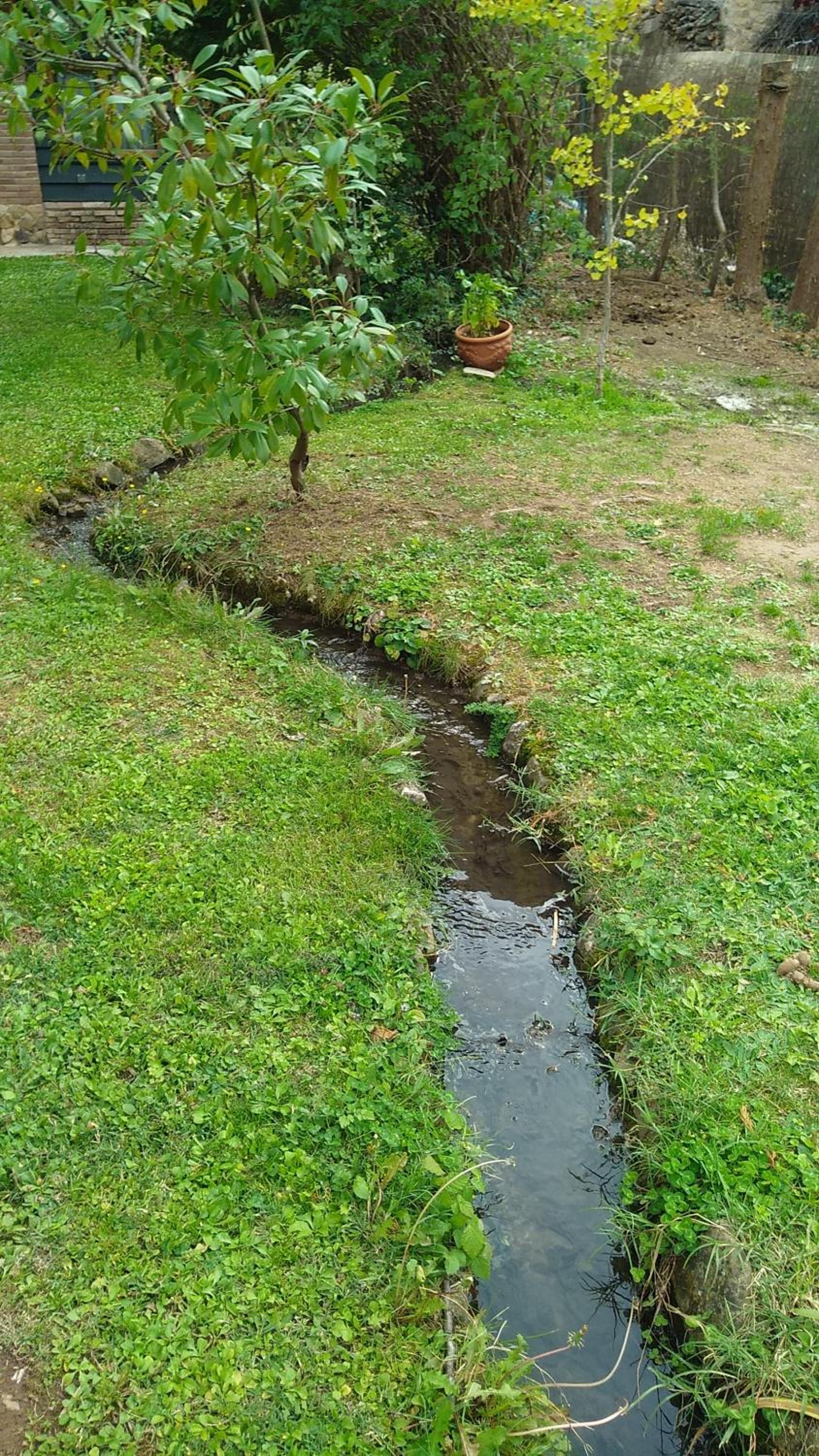 La Casa Verde view 4