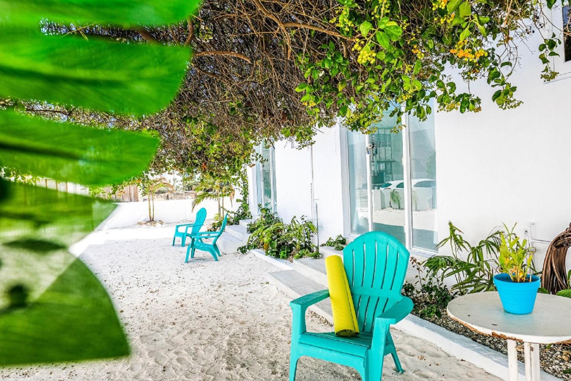 Ocean Front Property - Villa 5 Aruba Stunning