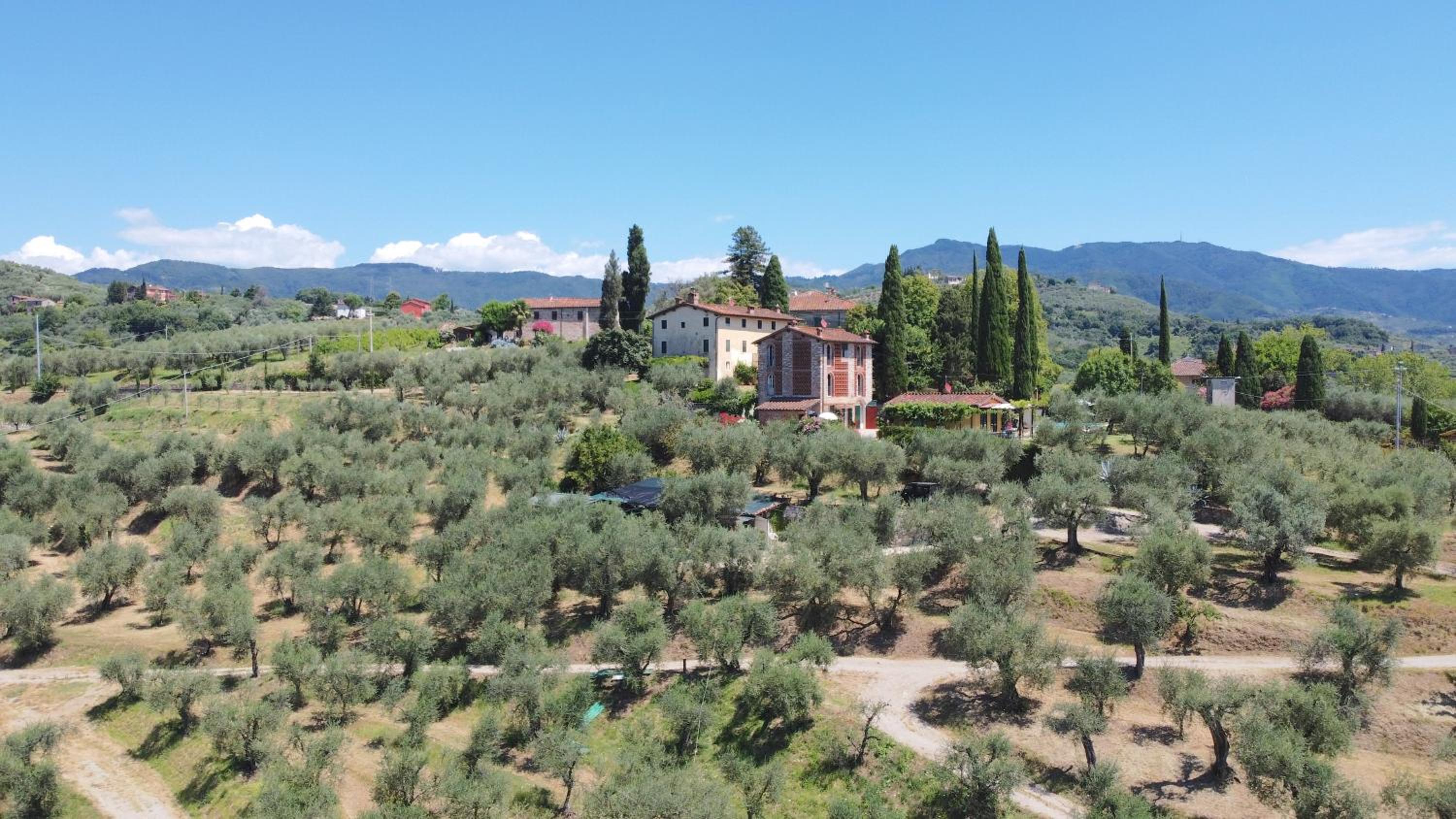 Podere Farinello