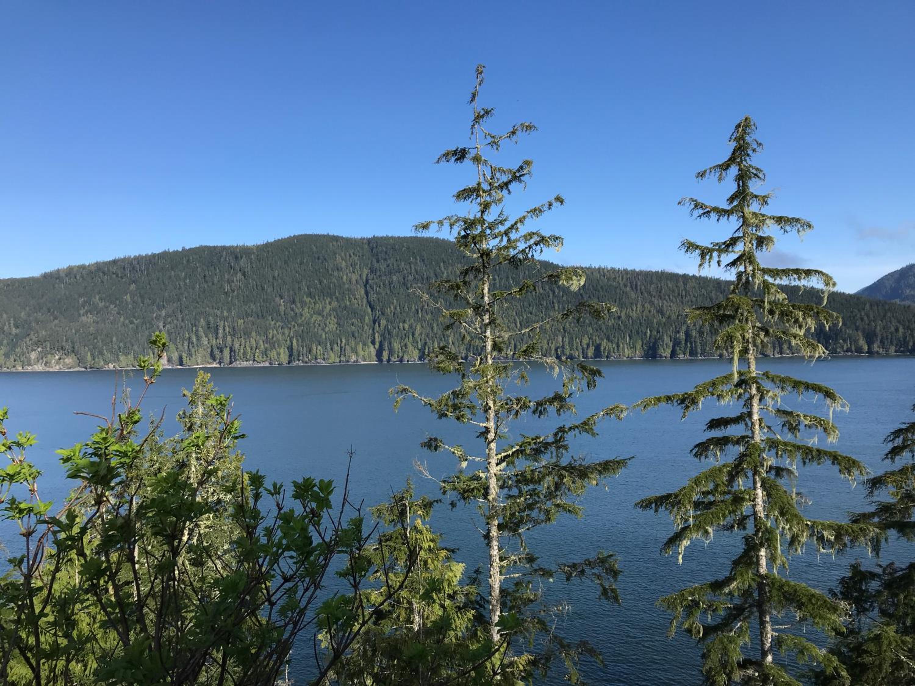 Port Renfrew Vacation Rentals