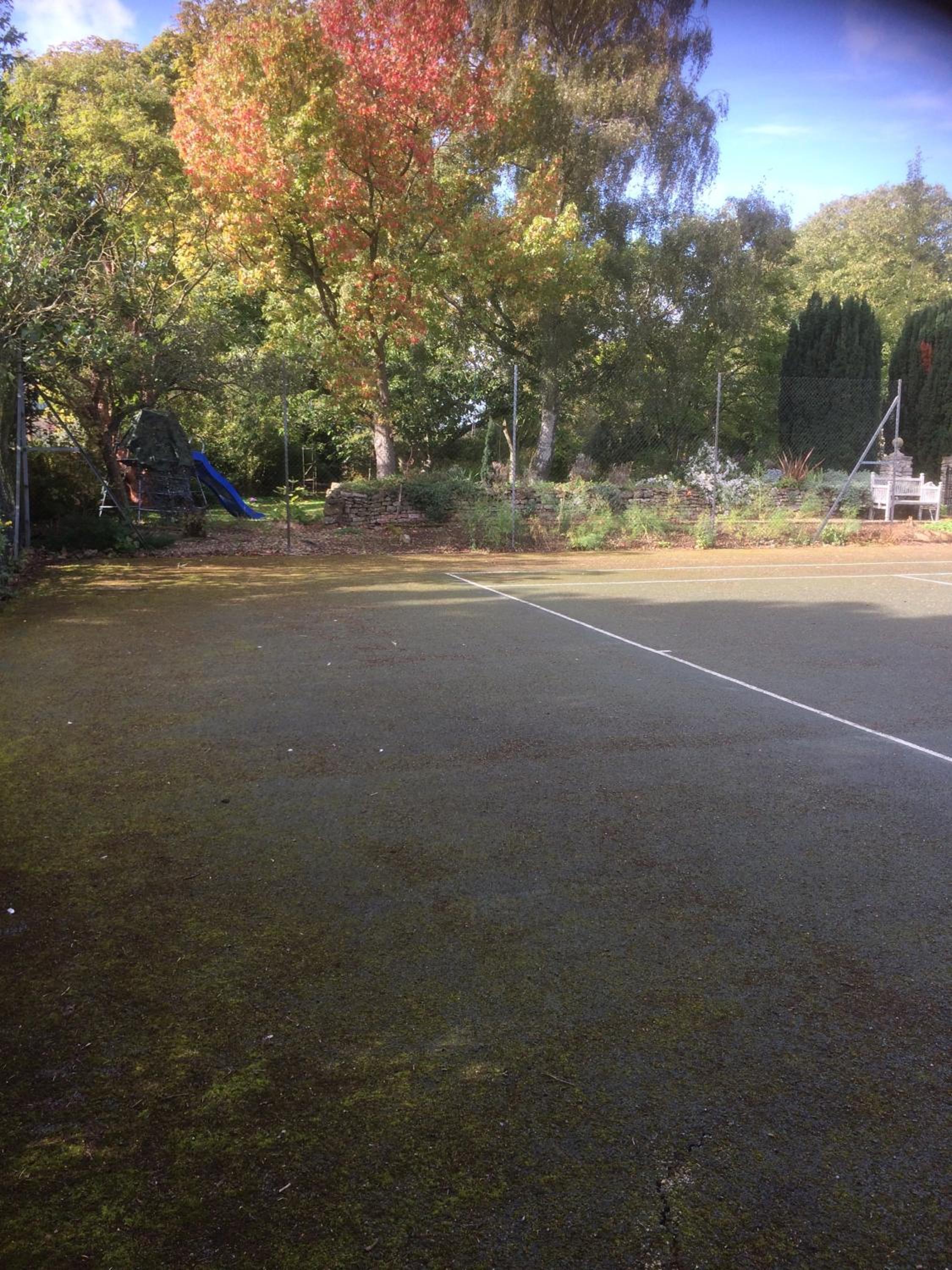Photo 7