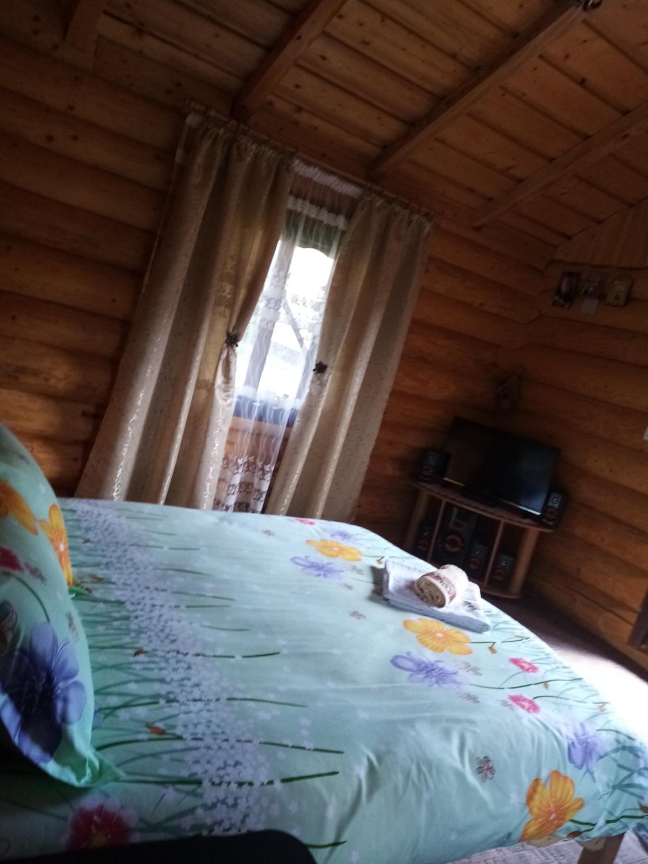 Photo 42