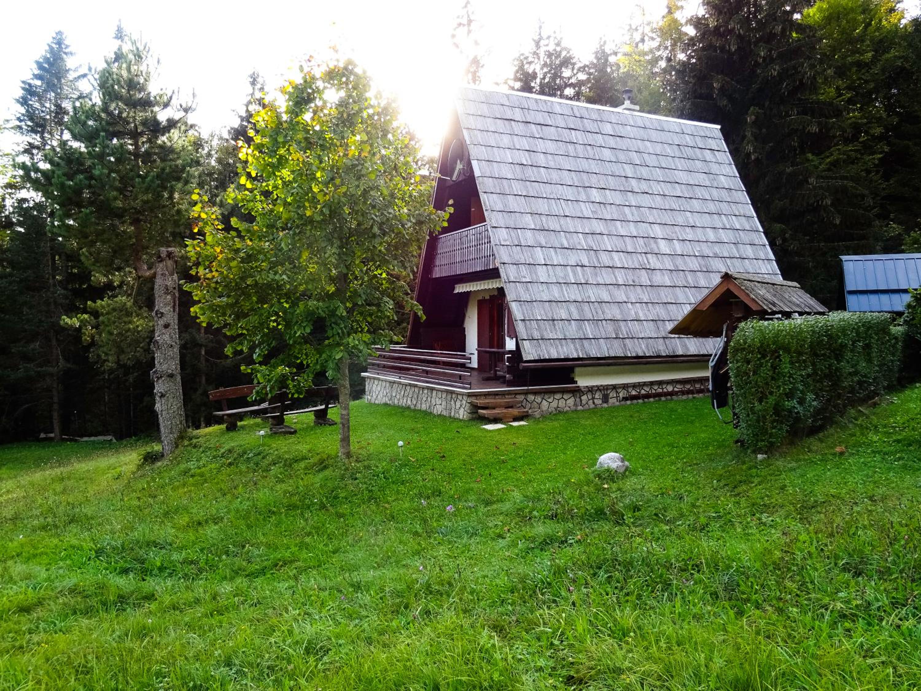 Photo 11