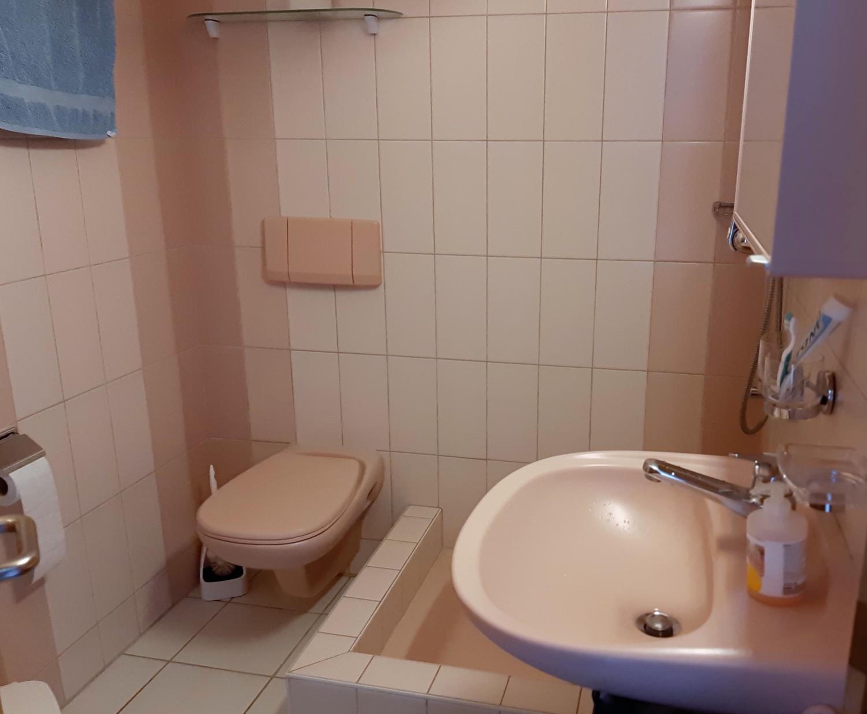 Panorama A23 Fitzi - Ferienwohnung für 1-2 Personen view 5