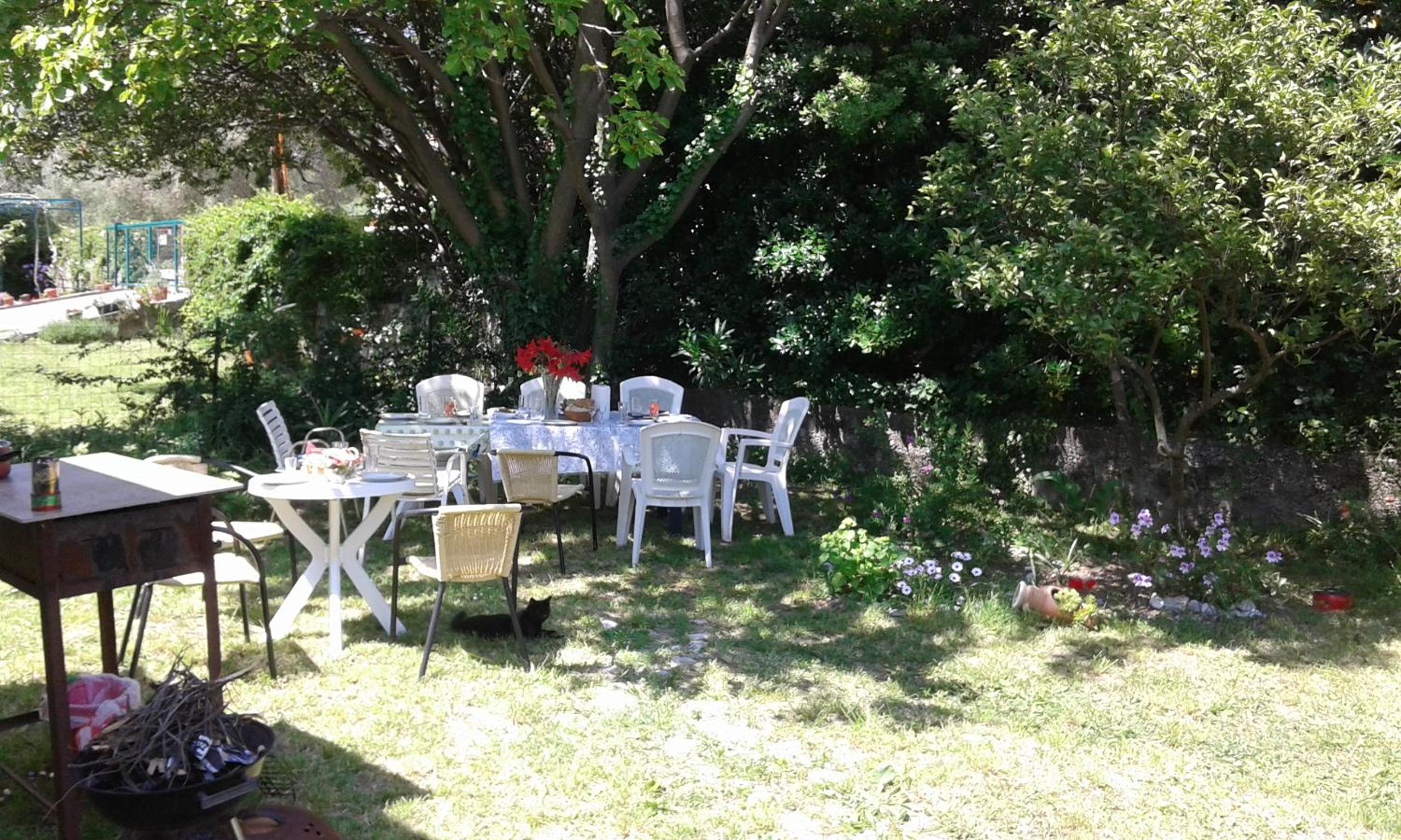 Photo 15