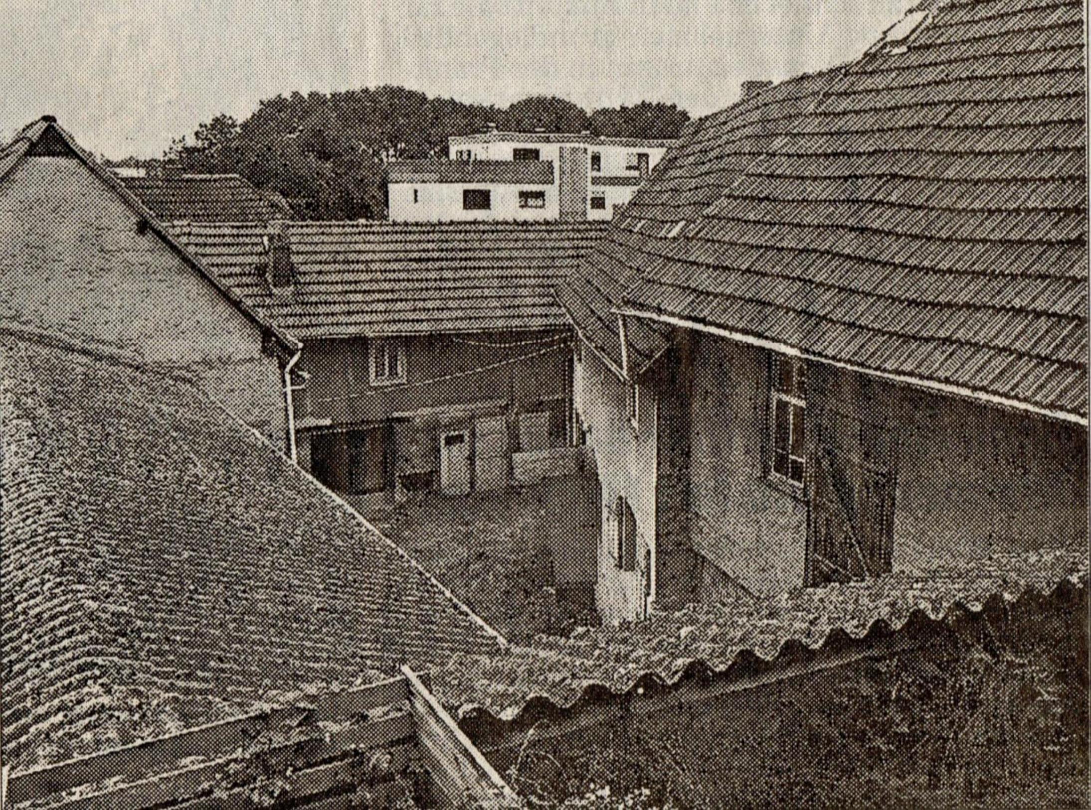 Photo 46