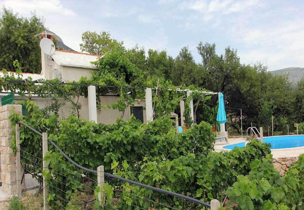 Photo 15
