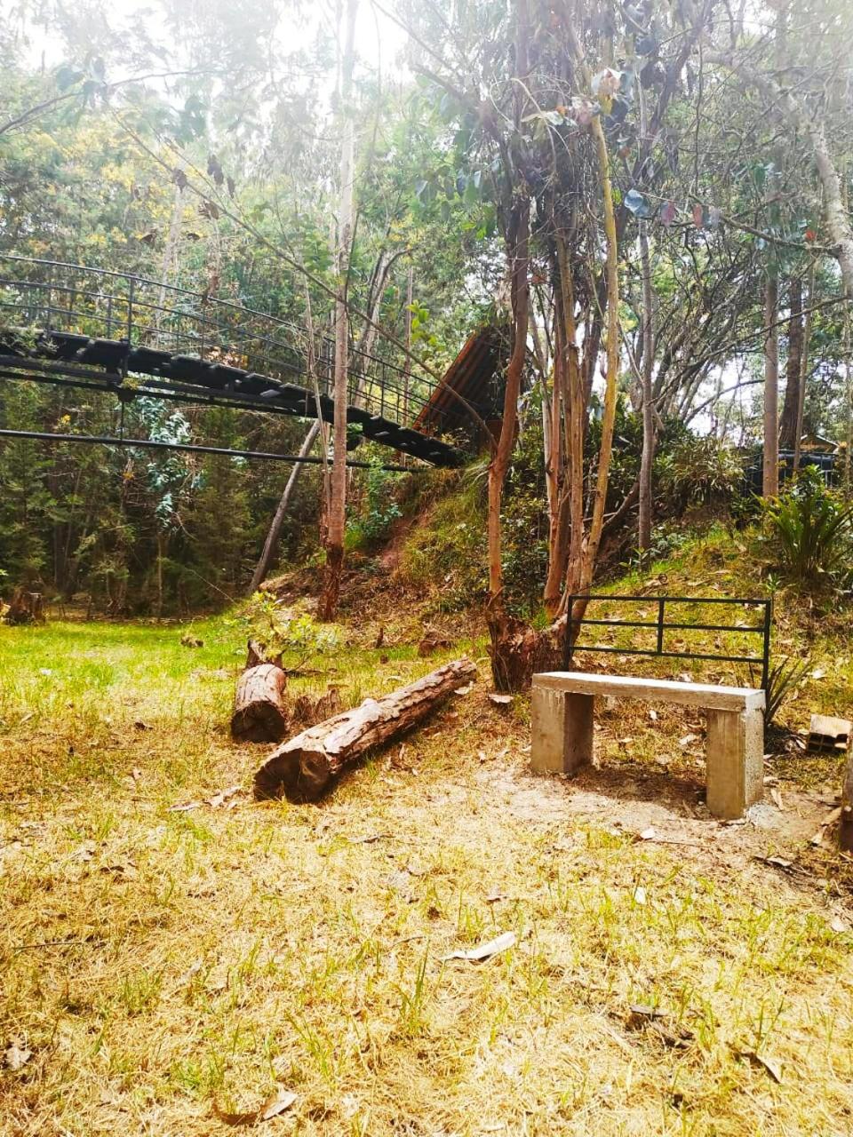 Glamping Los Ángeles