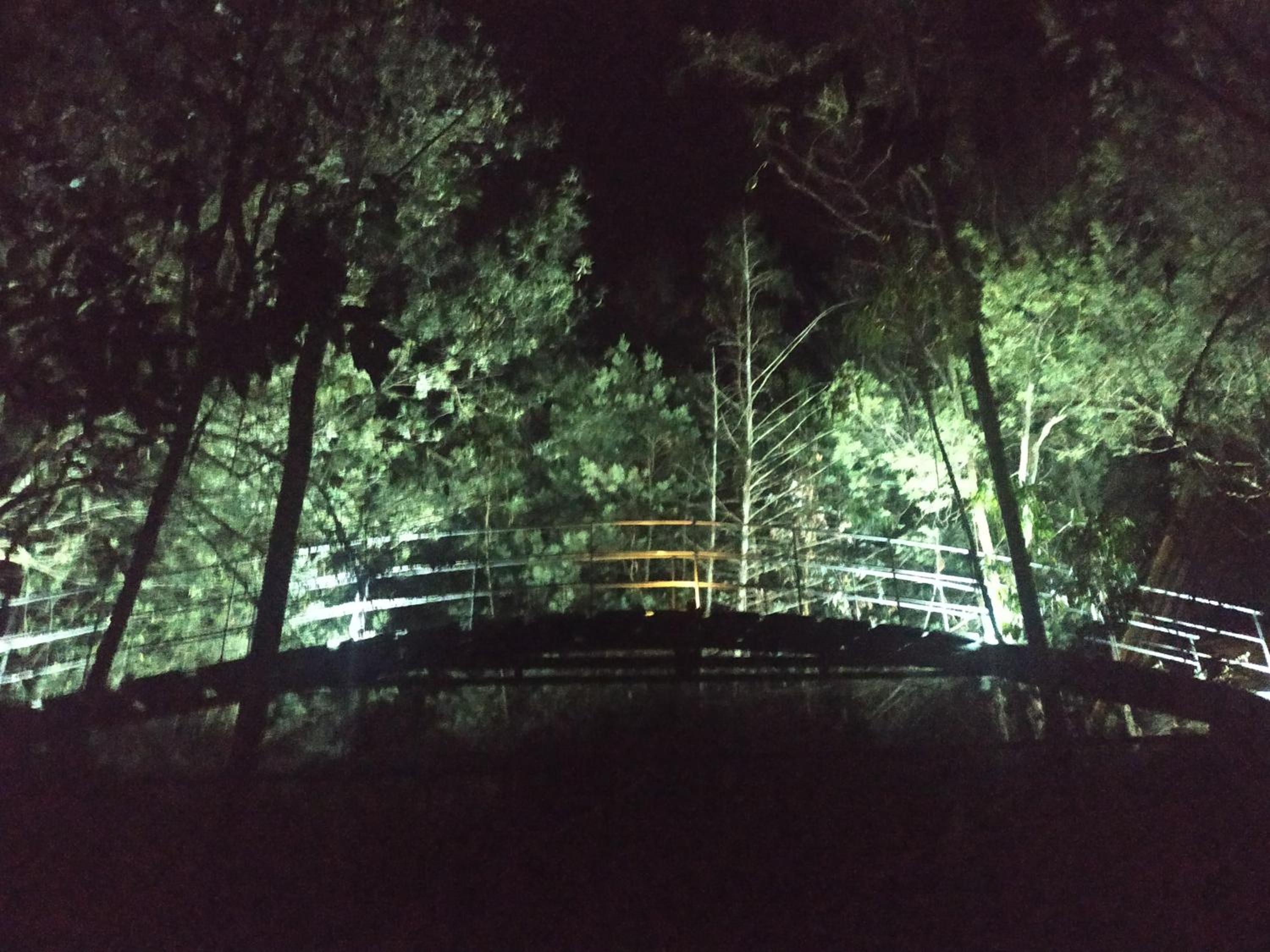 Glamping Los Ángeles