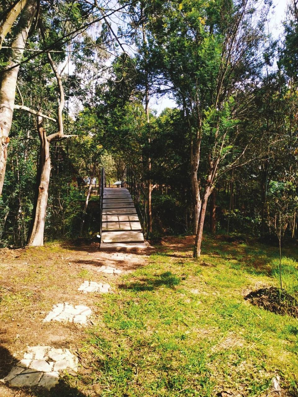 Glamping Los Ángeles