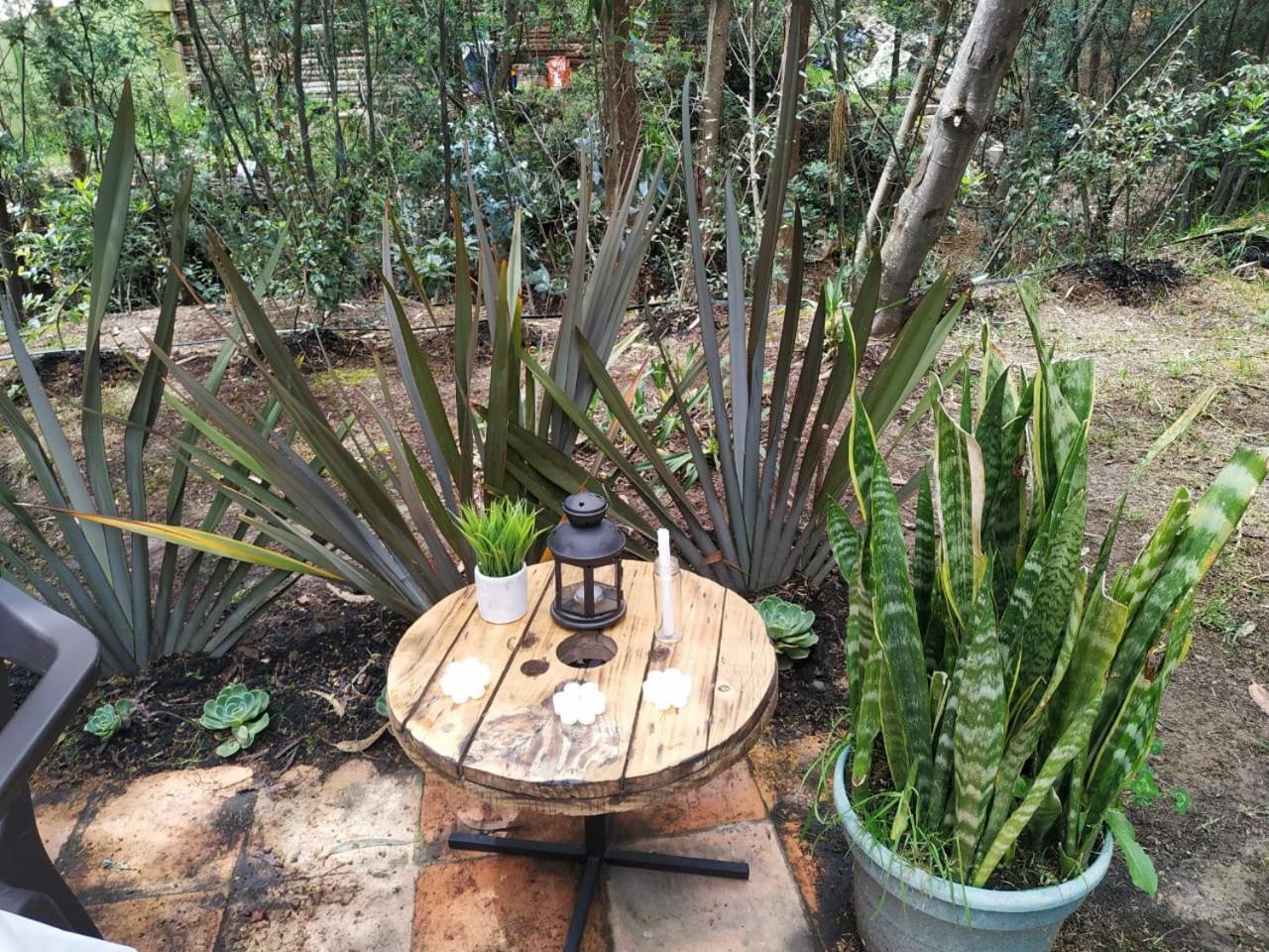Glamping Los Ángeles