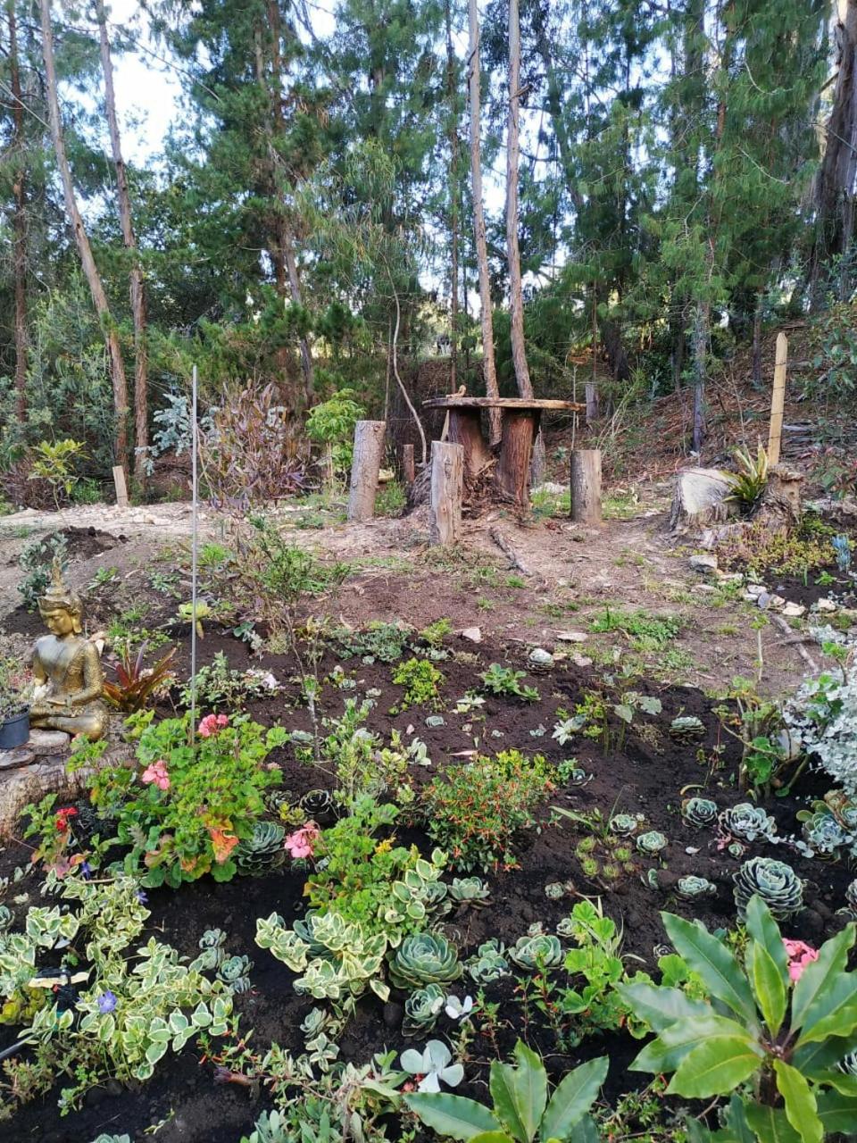 Glamping Los Ángeles