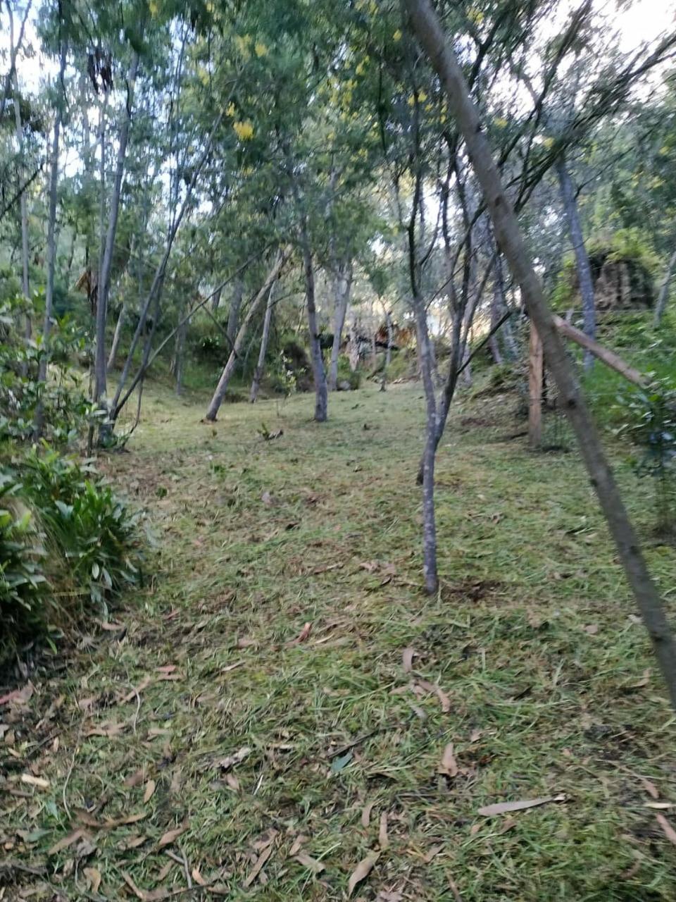 Glamping Los Ángeles
