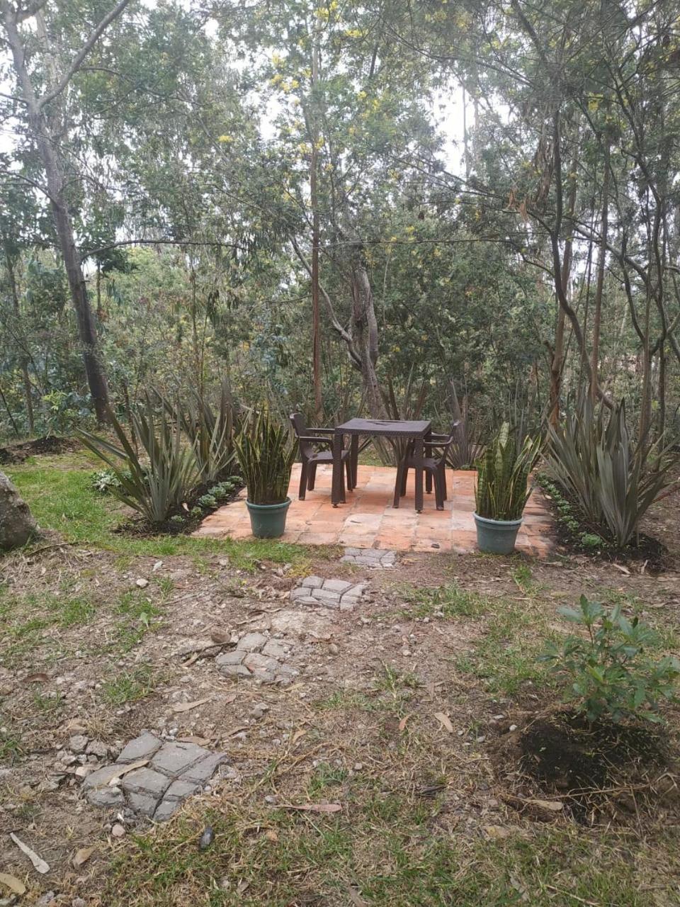 Glamping Los Ángeles